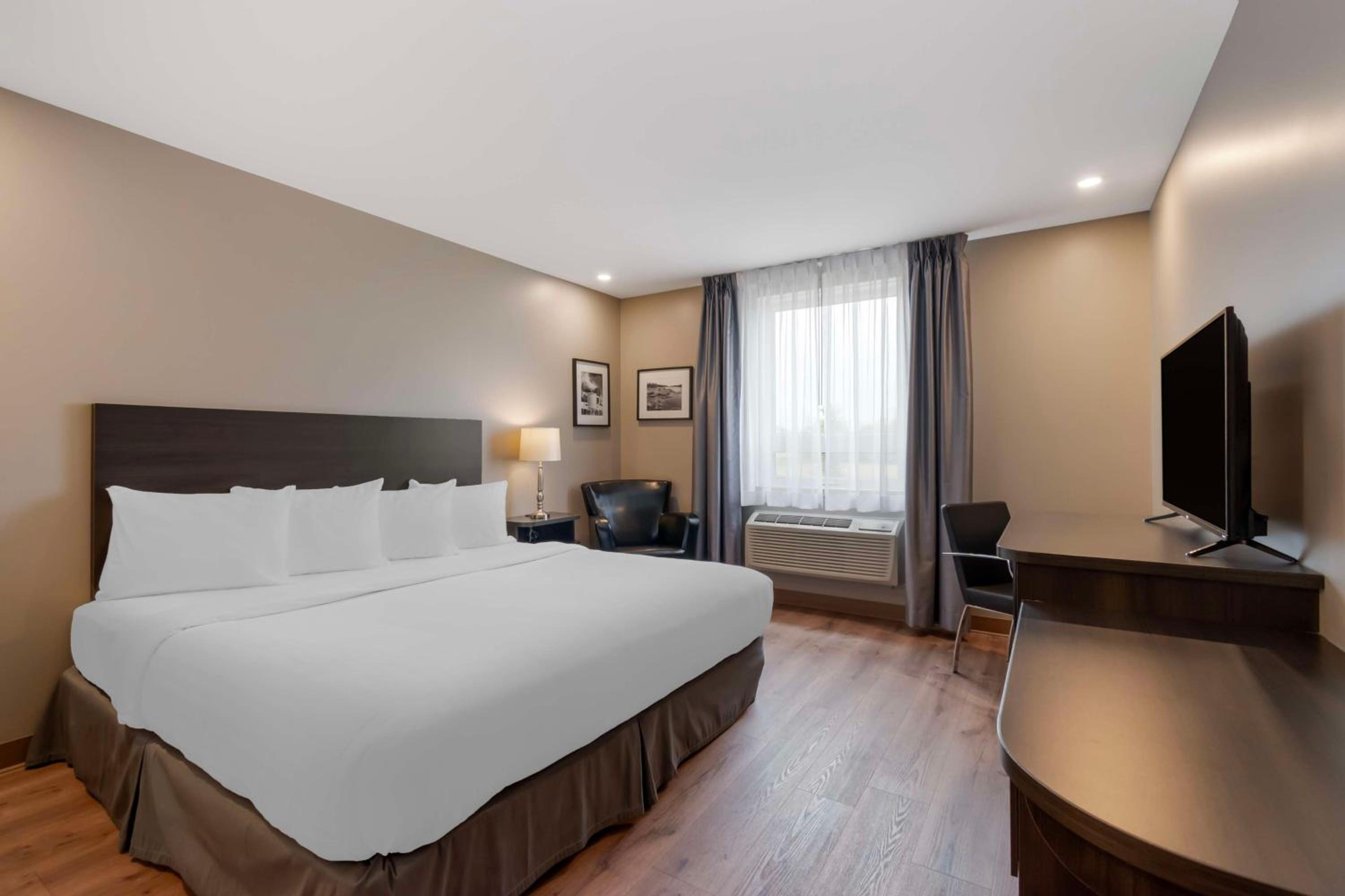 King Room with Bath Tub - Disability Access/Pet Friendly - Photo 1