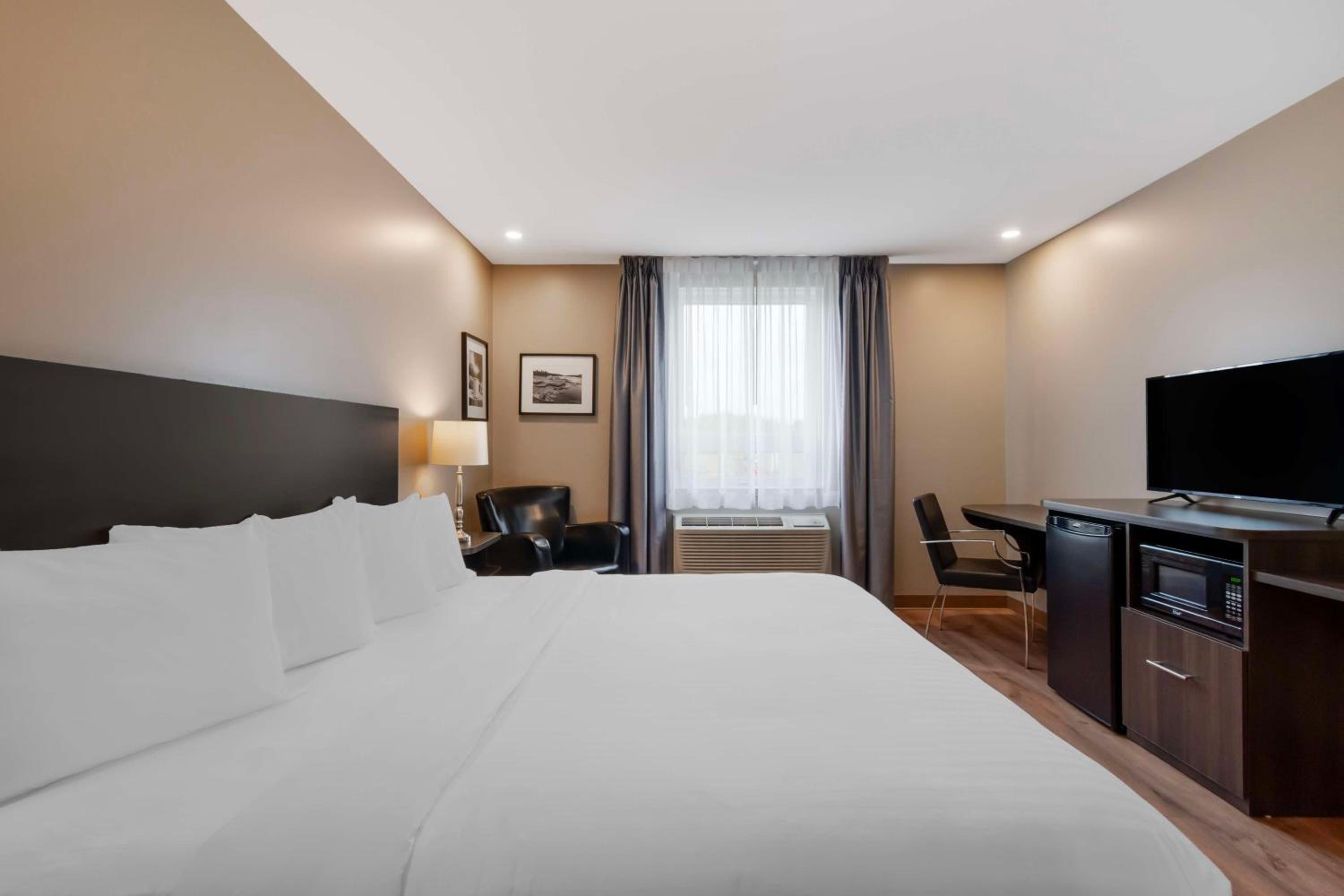 King Room with Bath Tub - Disability Access/Pet Friendly - Photo 2