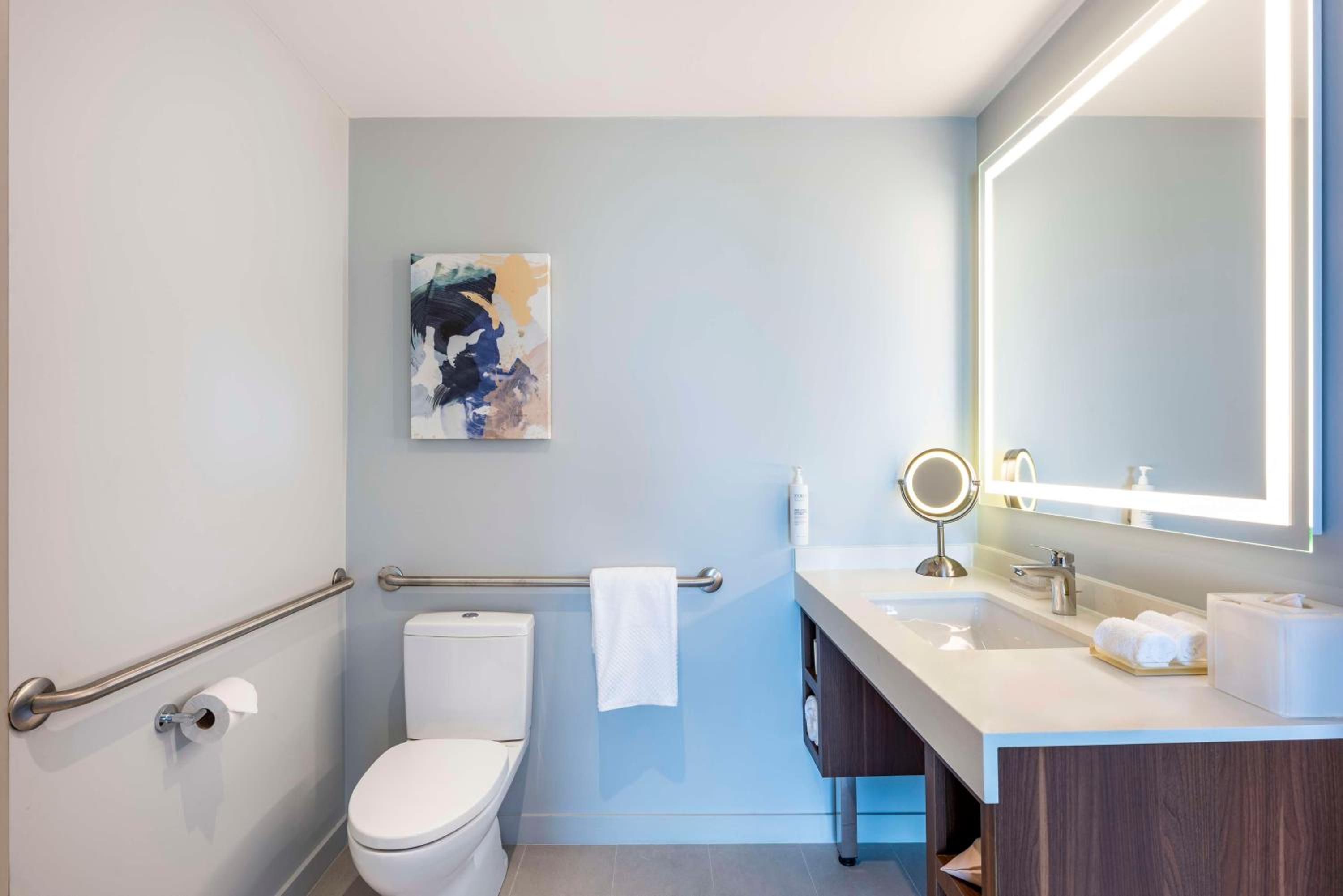 King Suite - Disability Access Roll in Shower - Photo 3