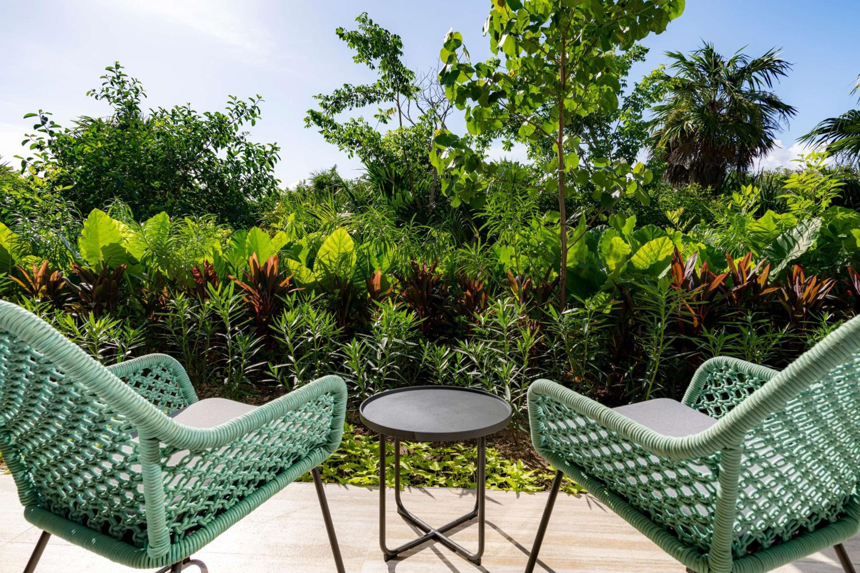 King Room with Nature View - Photo 8
