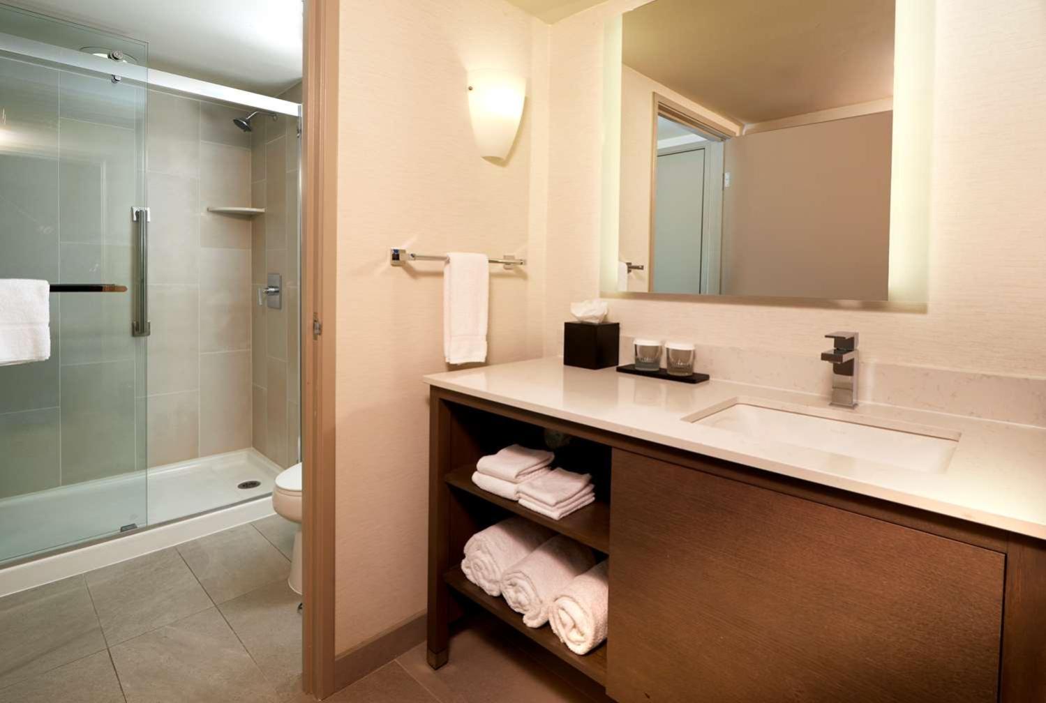 One-Bedroom King Suite with Roll-In Shower - Mobility Access/Non-Smoking - Photo 3