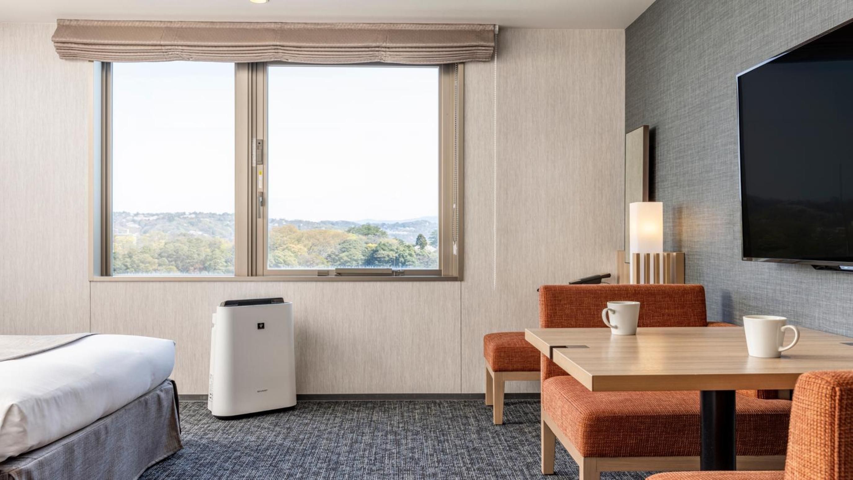 Standard Double Room - Non-Smoking thumbnail 5