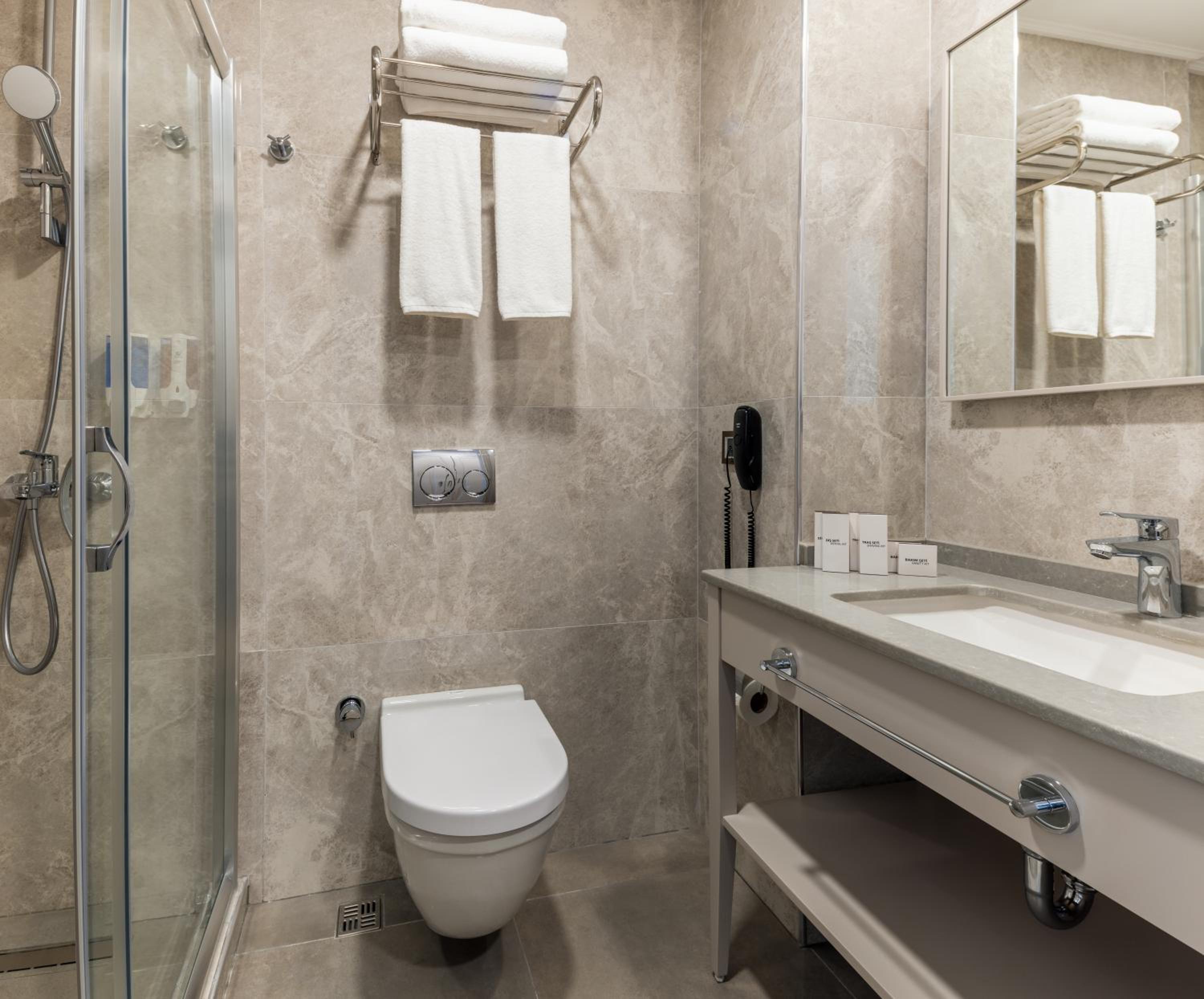 Deluxe Double or Twin Room photo 3