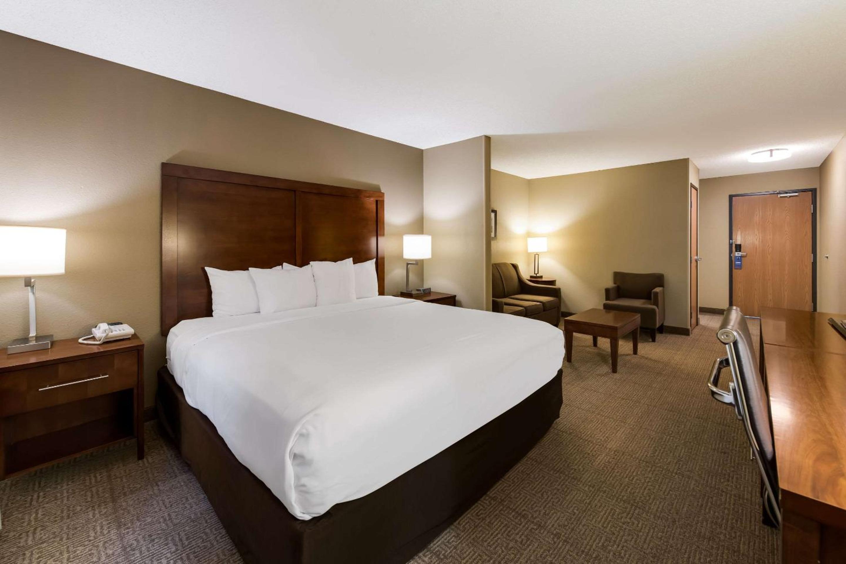 King Suite with Sofa Bed - Non-Smoking - Photo 1