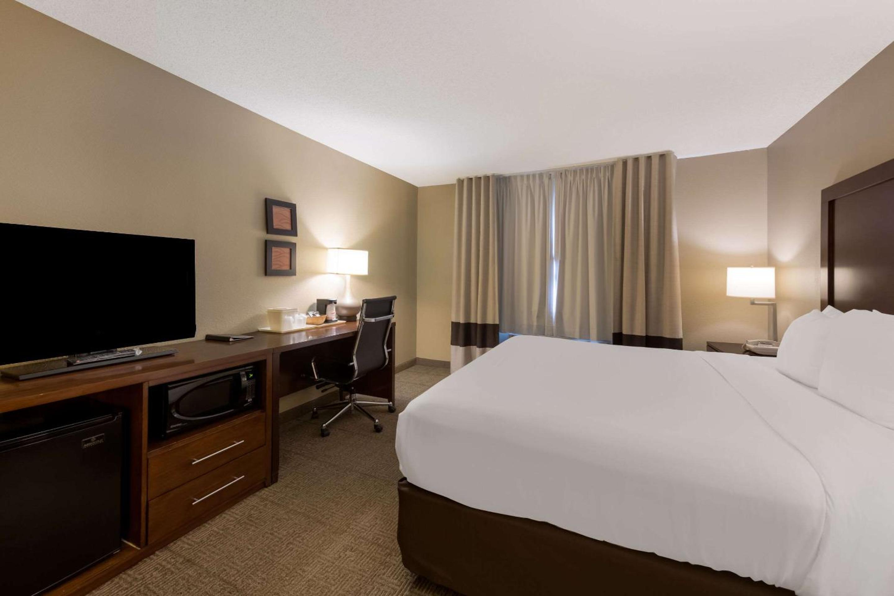 King Suite with Sofa Bed - Non-Smoking - Photo 2