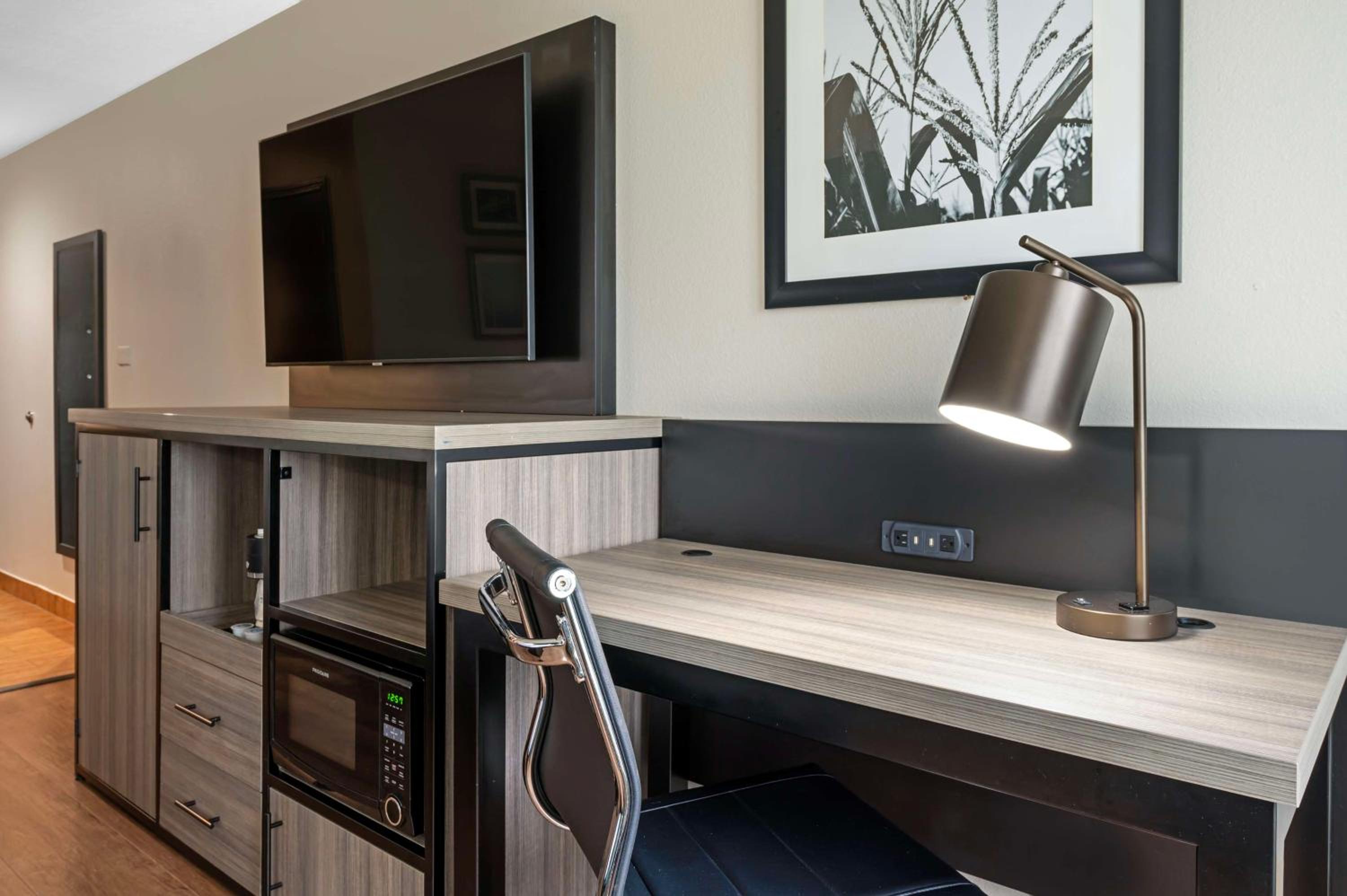 King Room - Pet Friendly/Non-Smoking - Photo 3