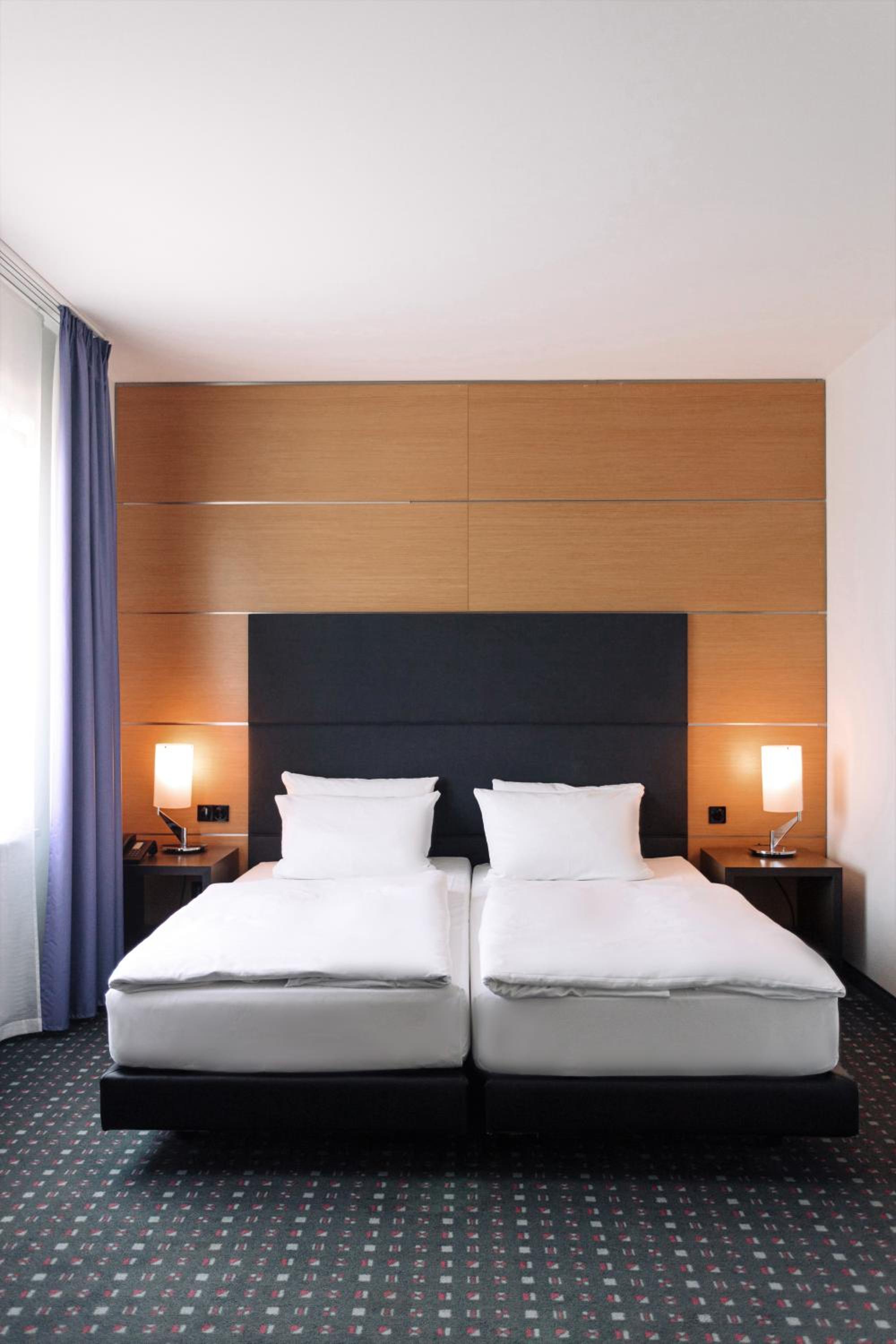 Suite - Photo 1