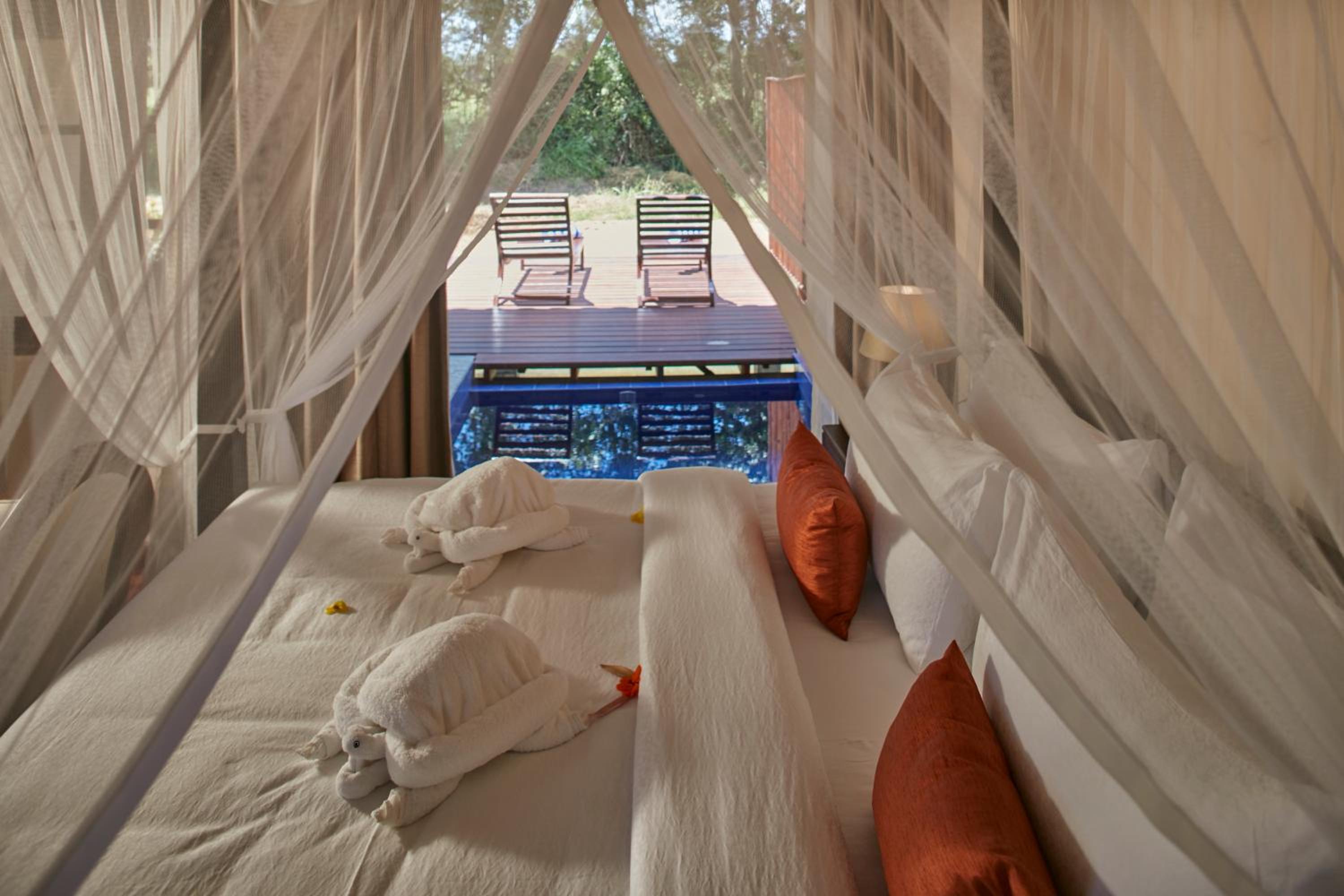 Premium Deluxe Room with Plunge Pool photo 1