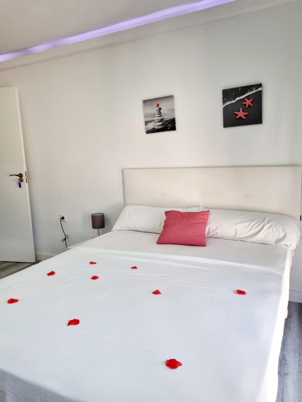Apartamento Estudio