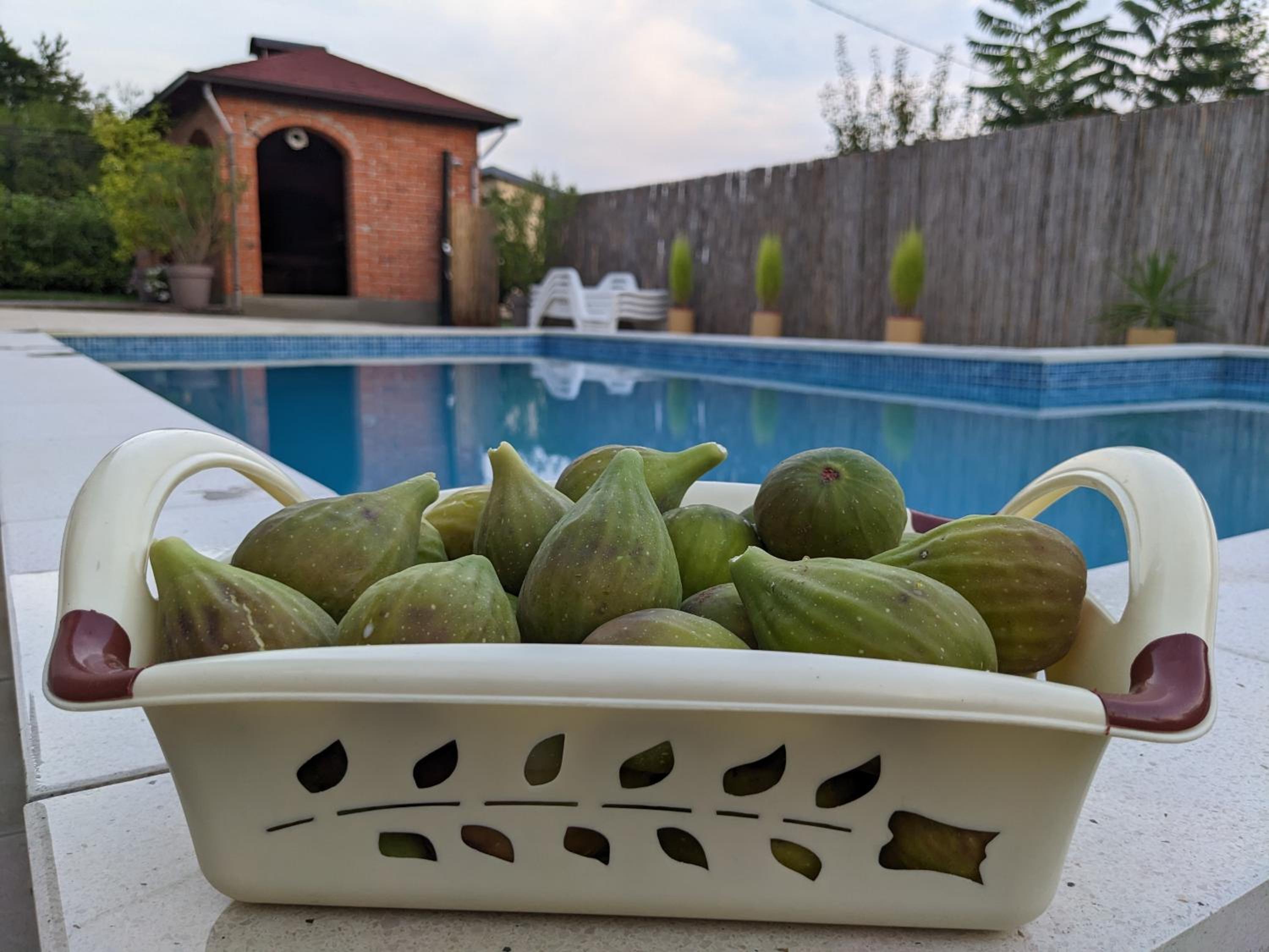 Villa with Private Pool photo 2