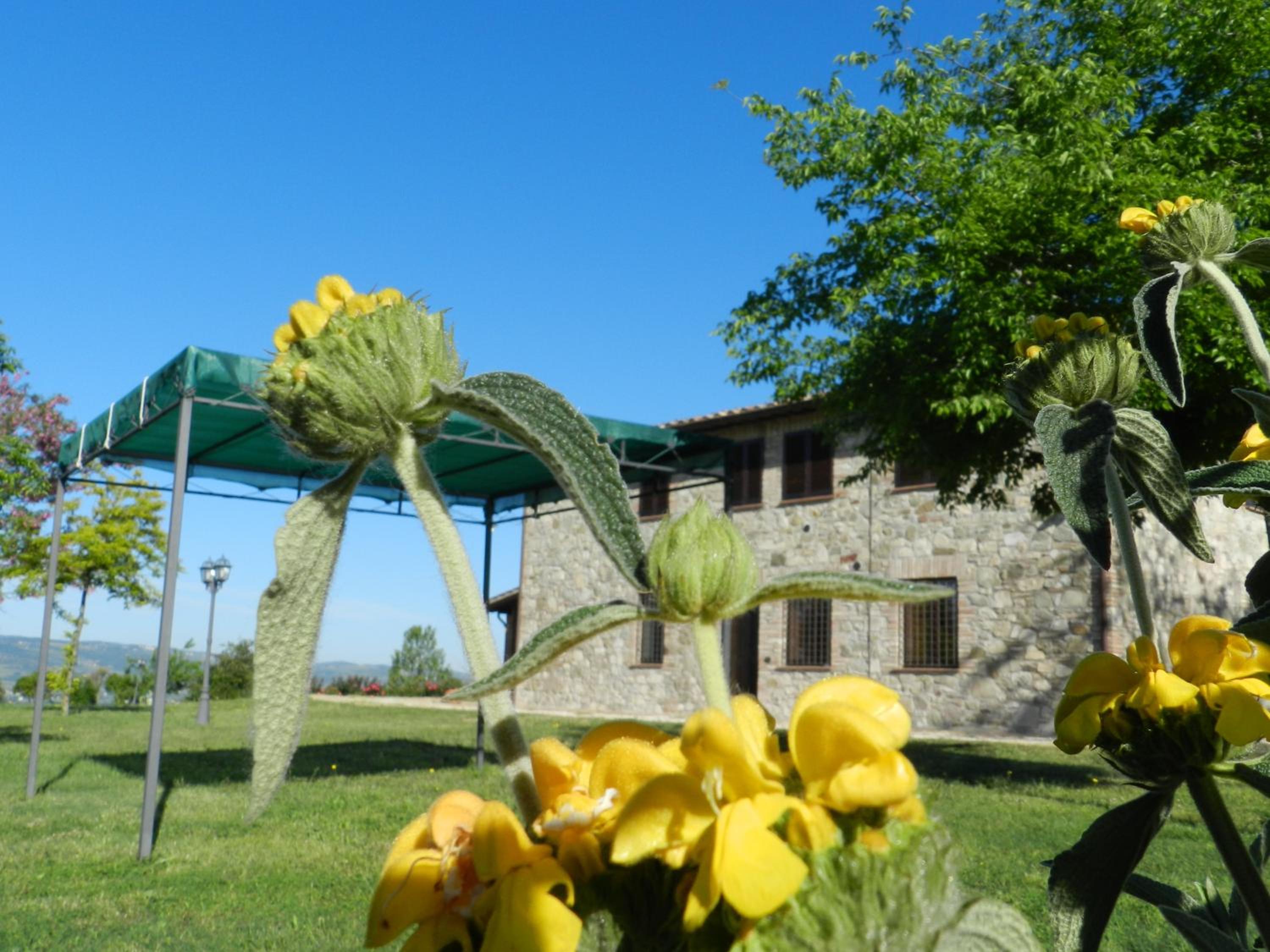 Villa photo 3
