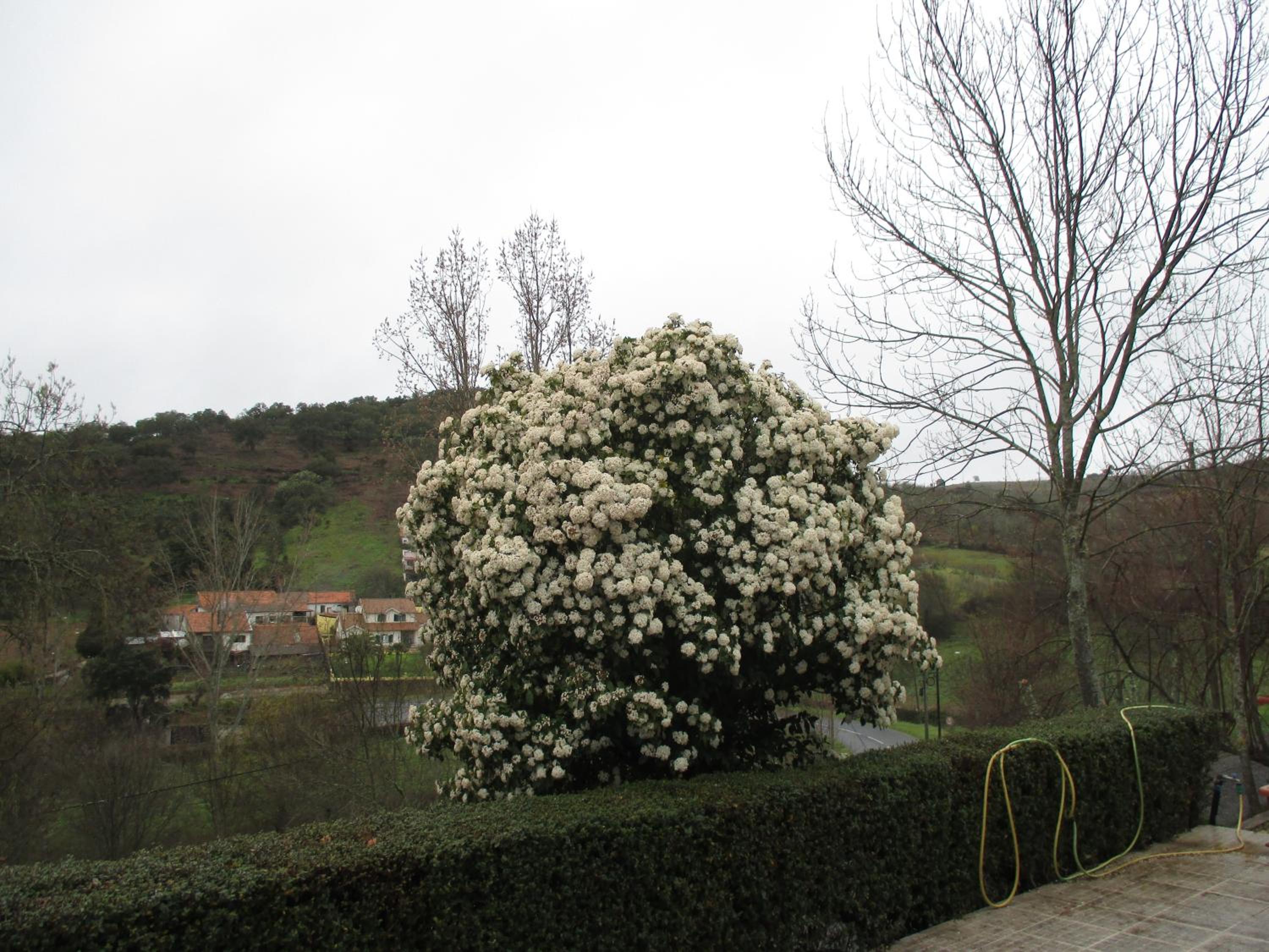 Family Bungalow - Photo 13