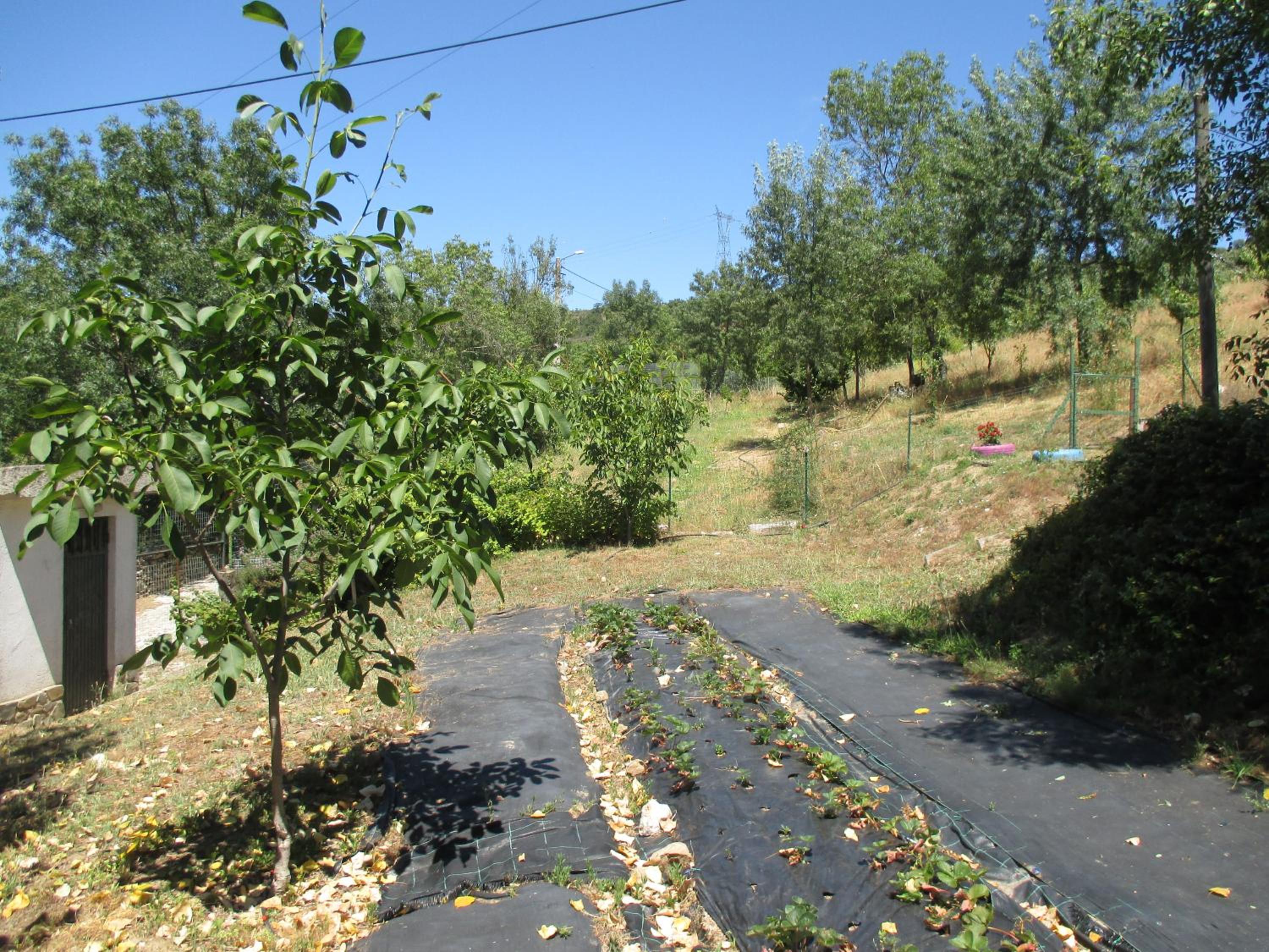 Family Bungalow - Photo 14