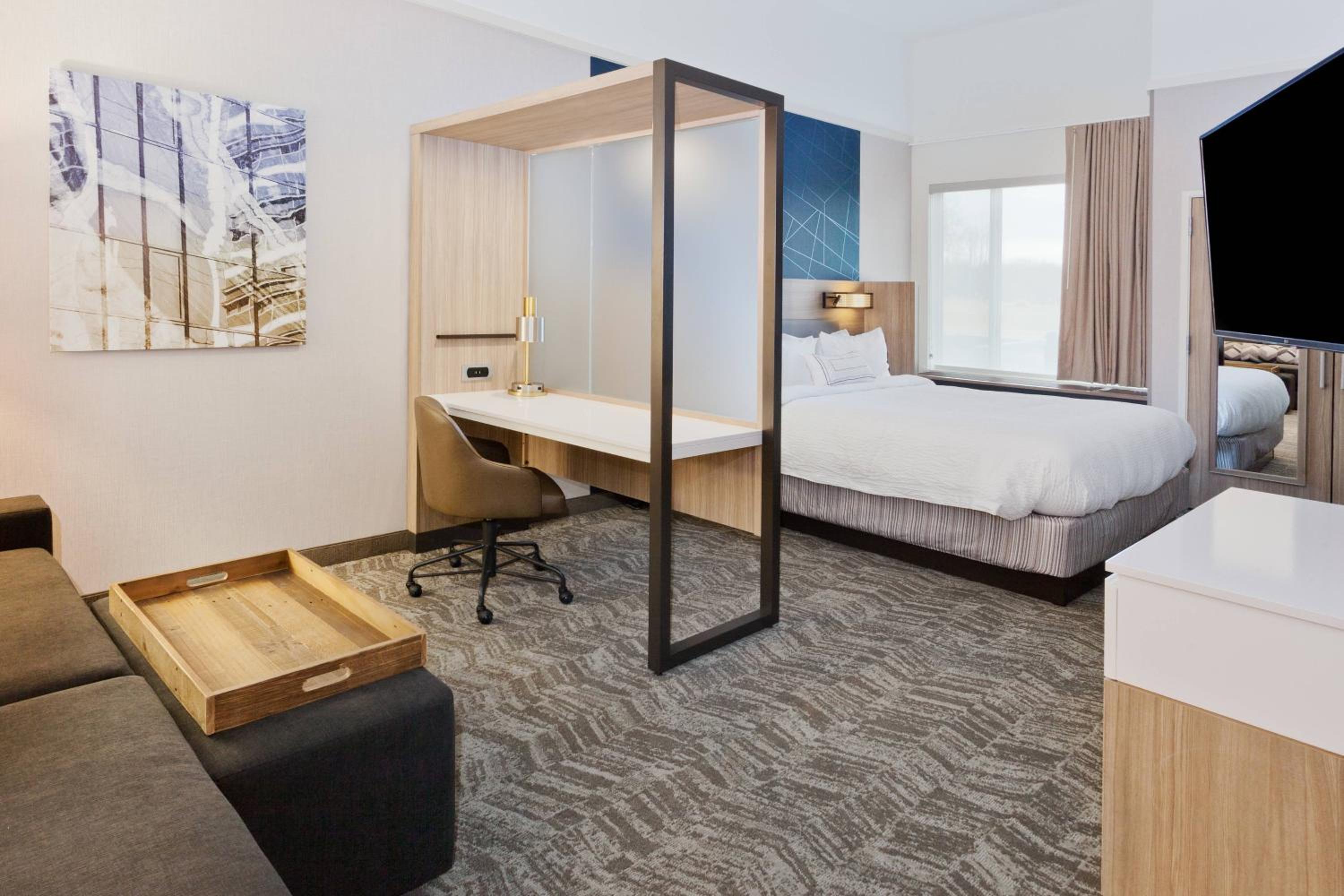 Suite, 1 King, Sofa bed - Photo 1