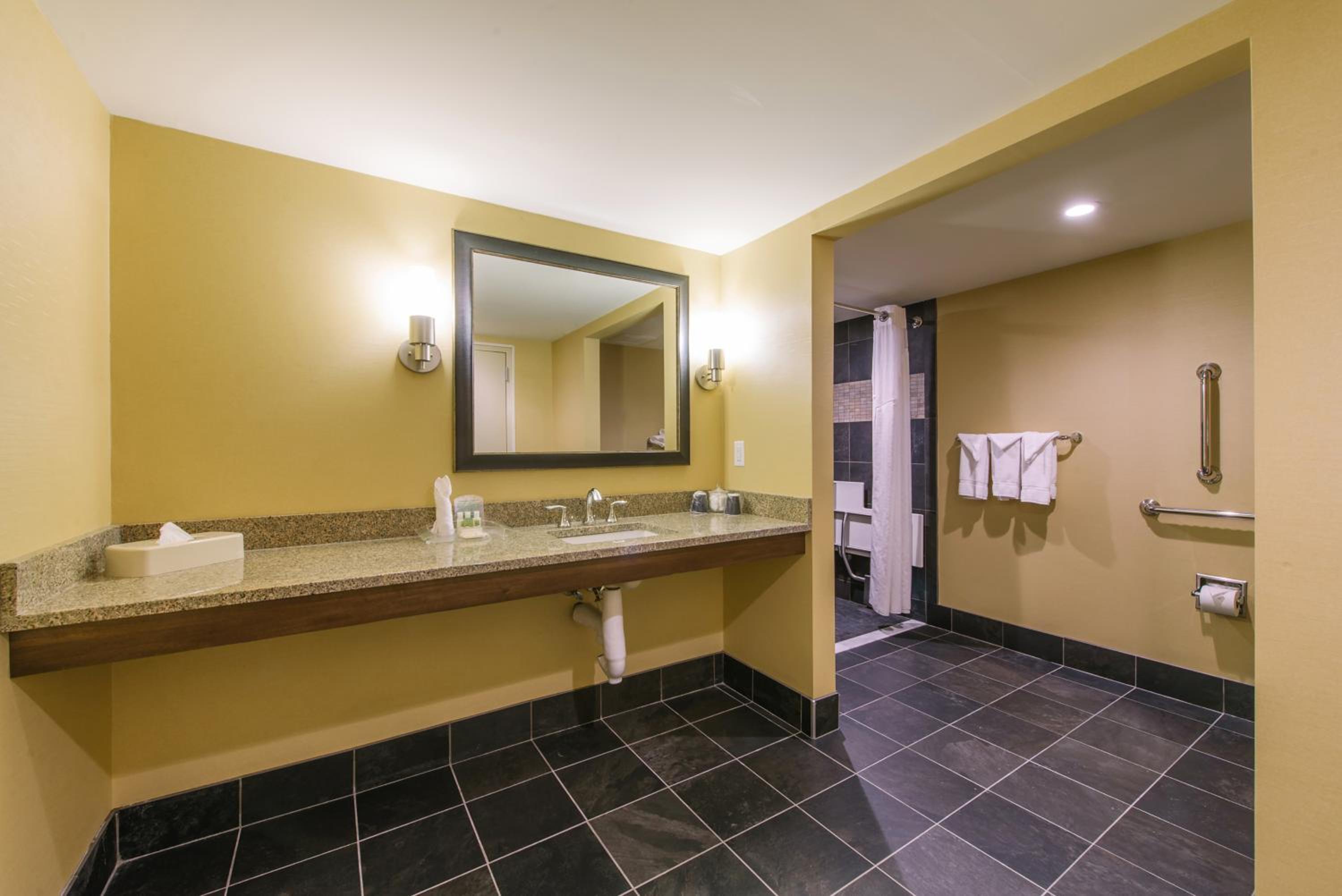 King Room with Roll In Shower - Mobility/Hearing Access - Photo 4