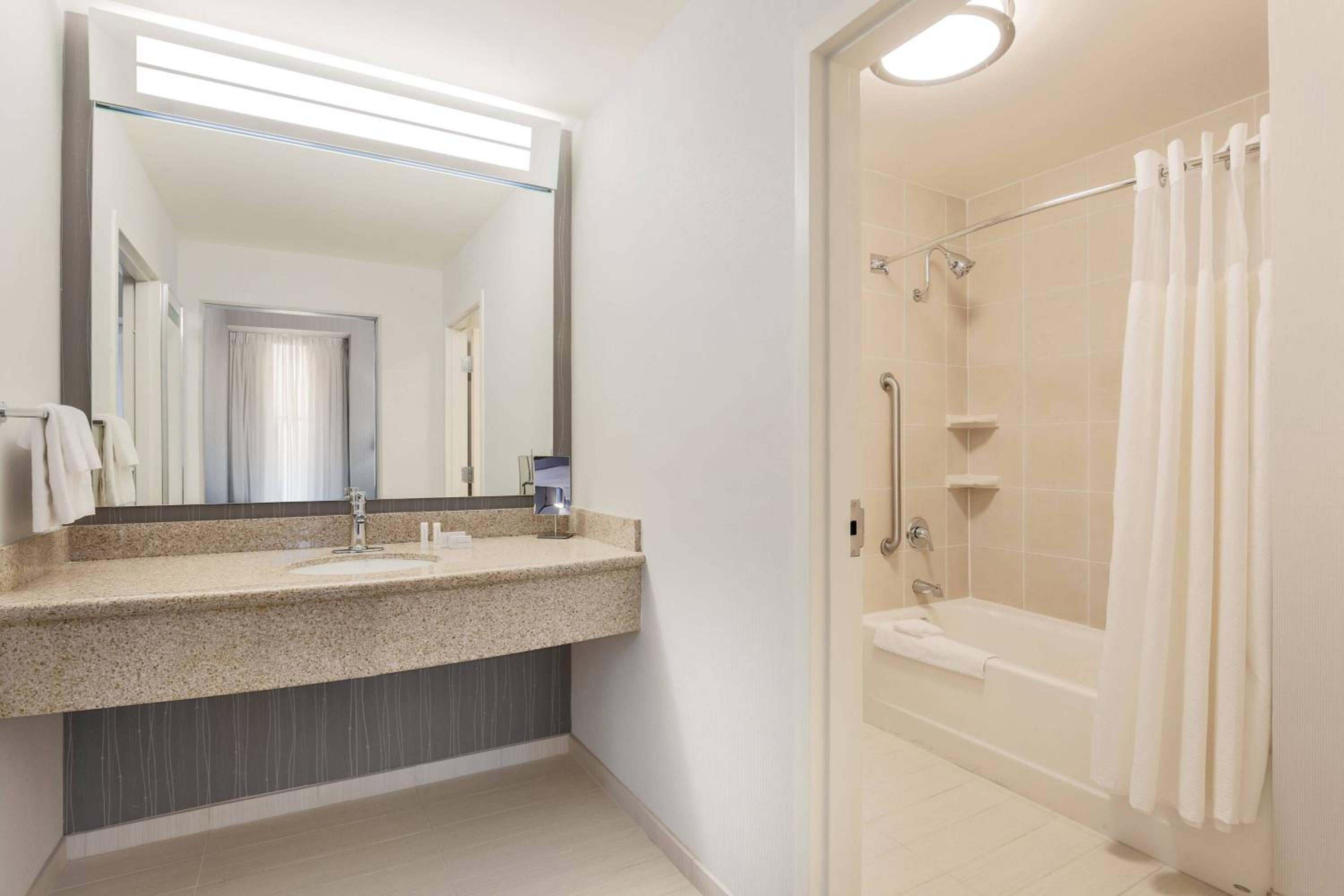 One-Bedroom King Suite with Bathtub and Sofa Bed - Mobility Access/Hearing Accessible - Photo 6