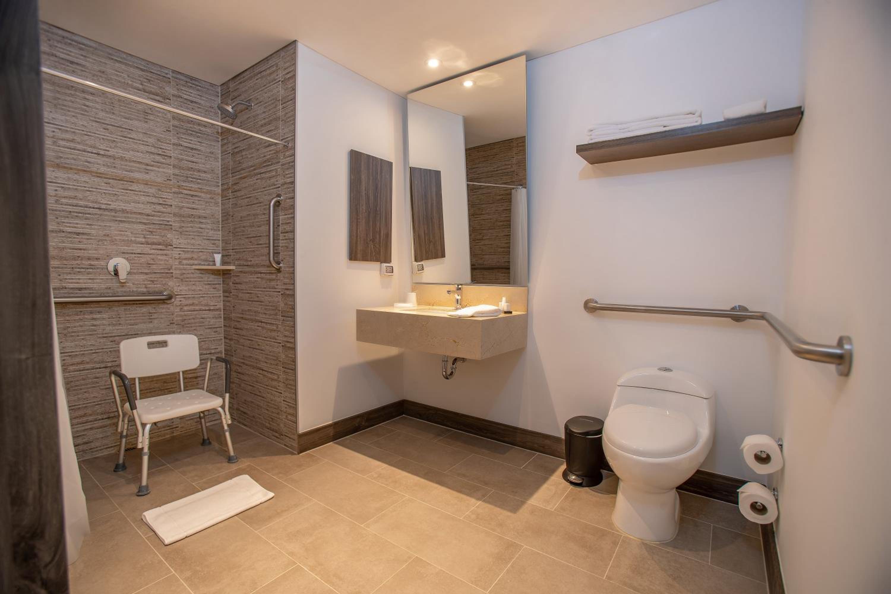 Queen Room with Roll-In Shower - Mobility Accessible/Non-Smoking - Photo 5