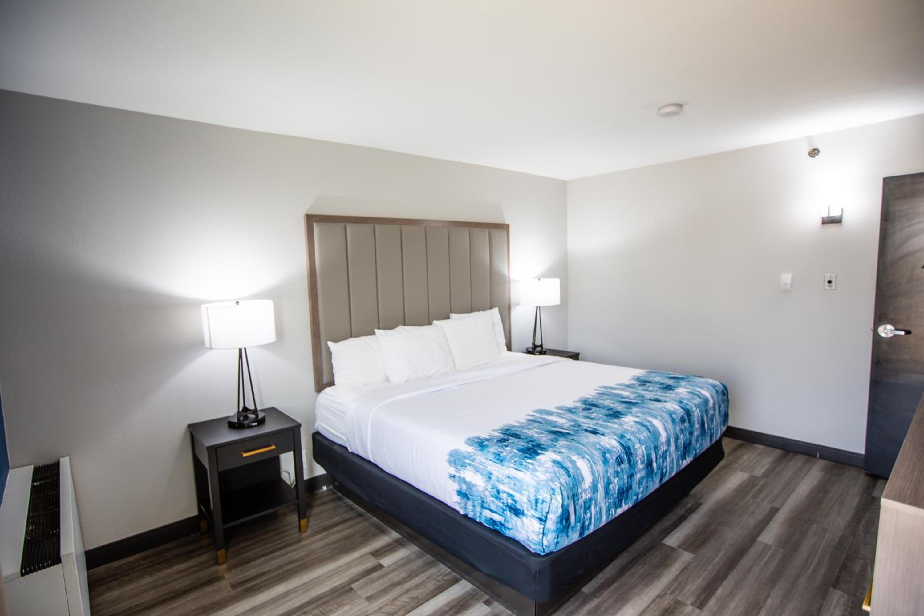 One-Bedroom King Suite with Bathtub - Mobility/Hearing Accessible - Non-Smoking - Photo 1