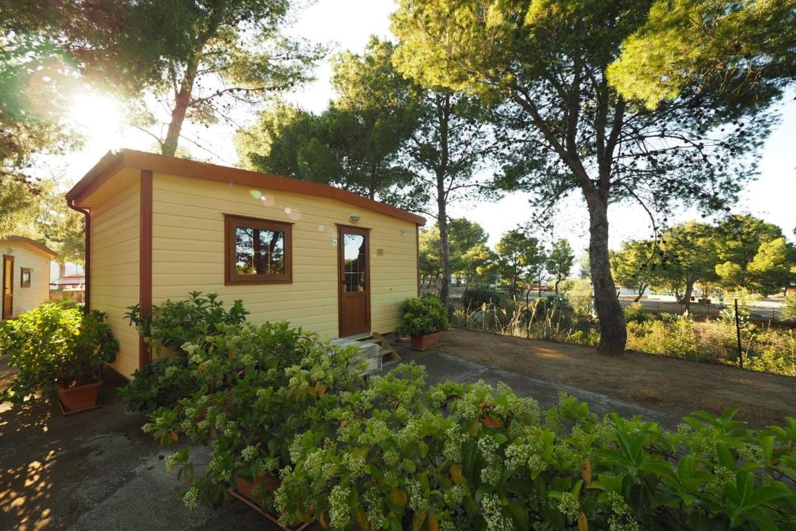 Mobile Home - Photo 4
