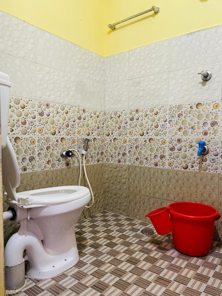 Large Single Room photo 1