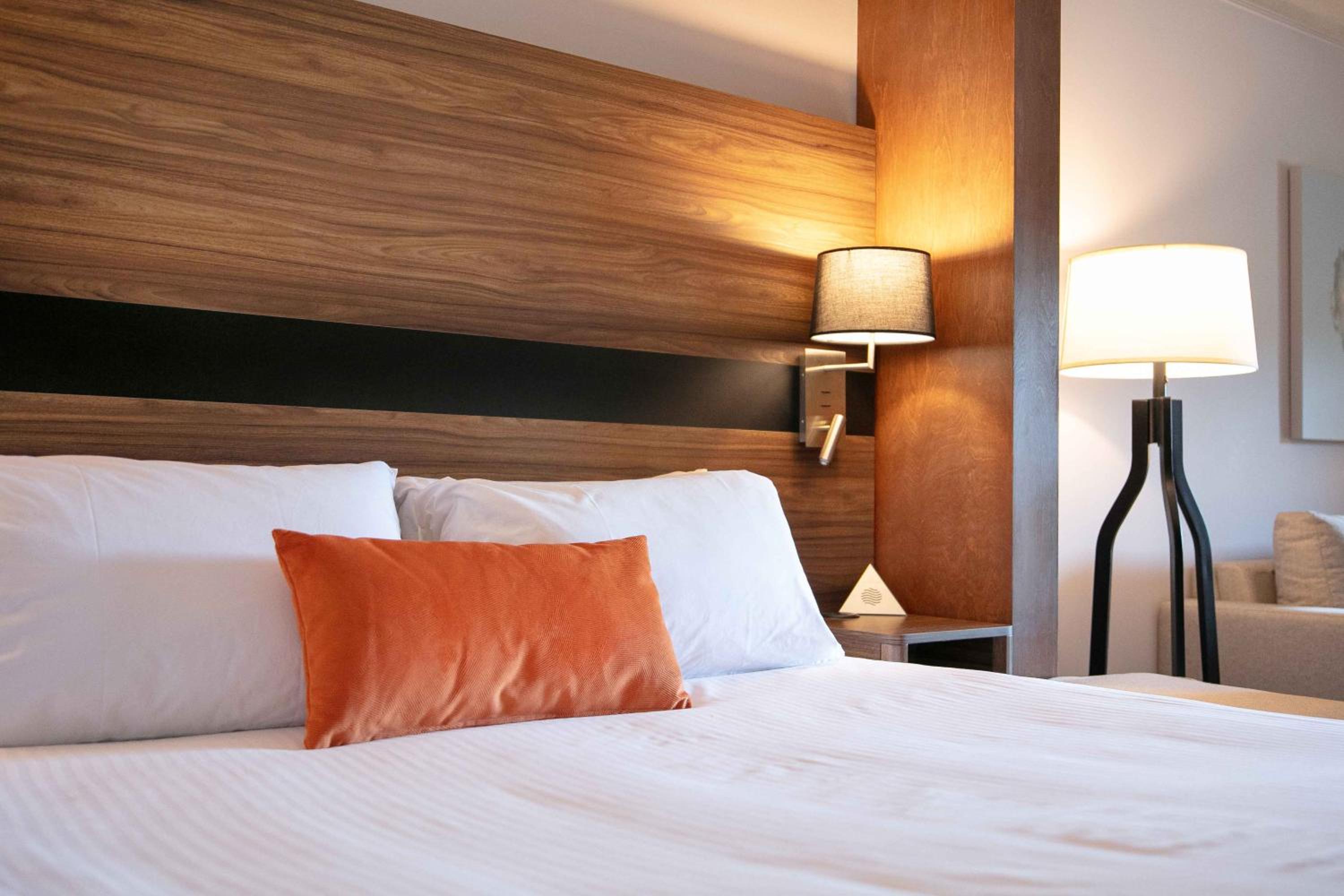 King Room - Photo 1