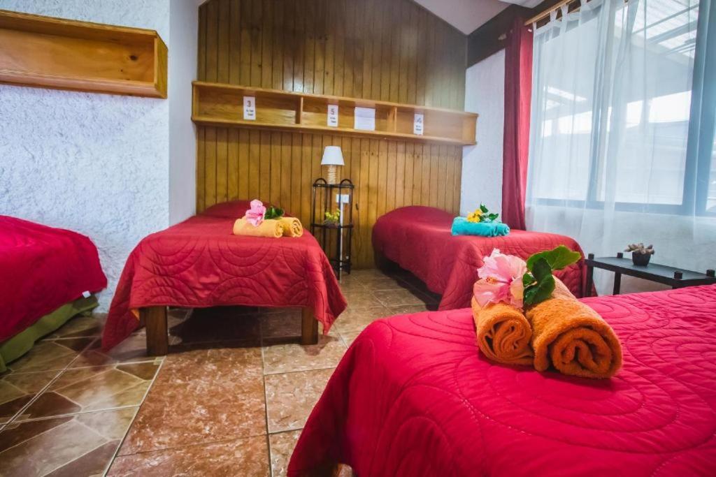 Single Bed in Mixed Dormitory Room photo 1