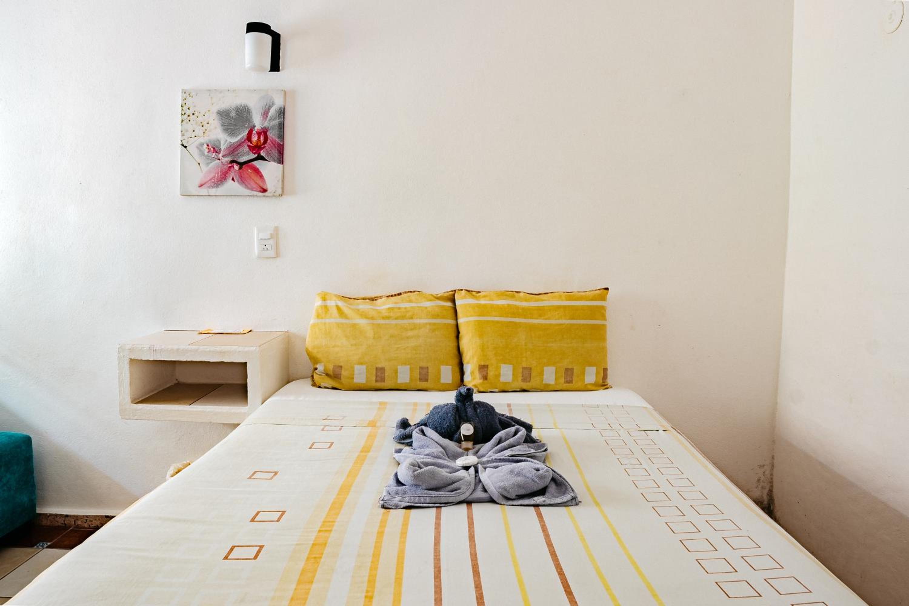 Double Room with Garden View photo 1