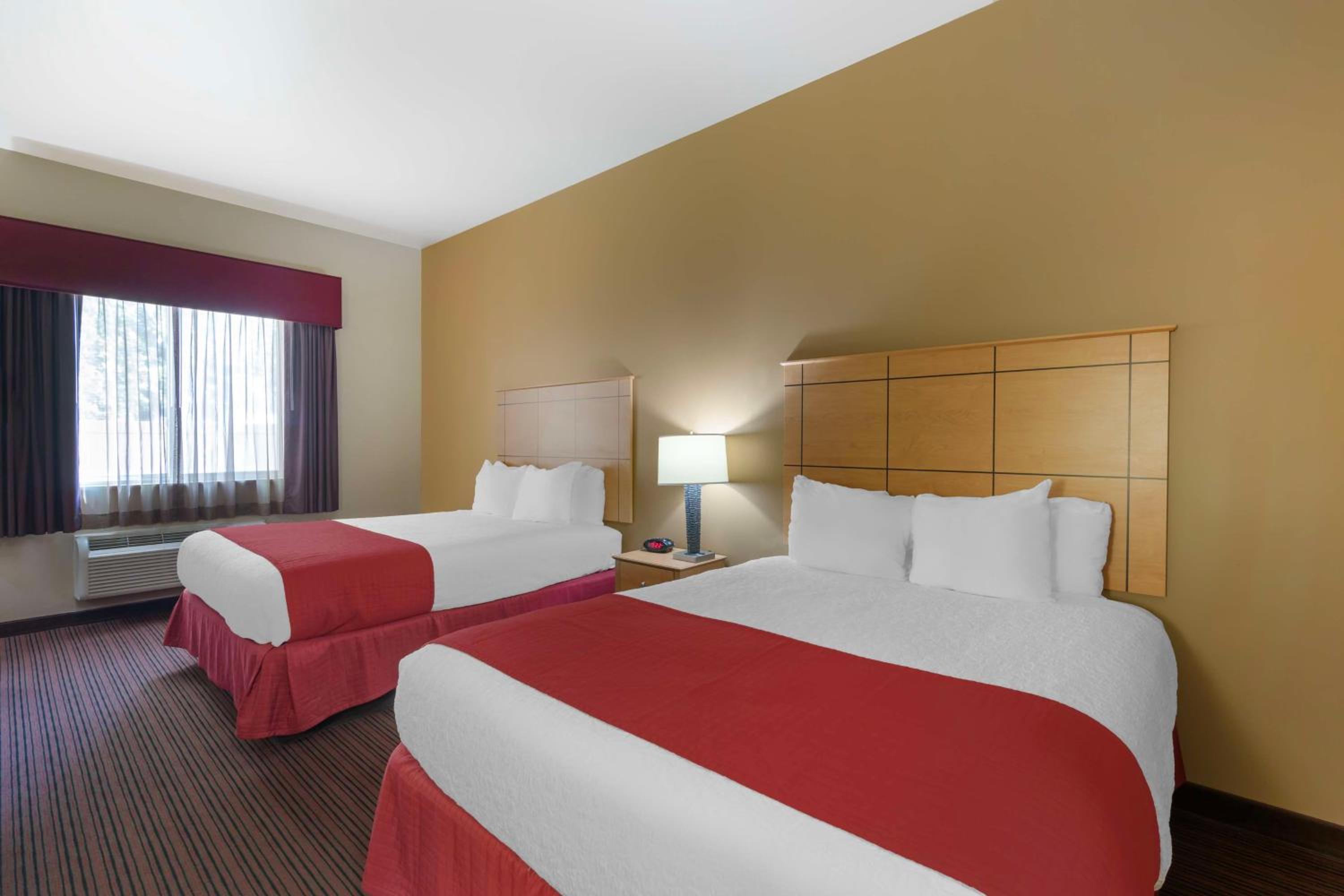 Queen Room with Two Queen Beds - Pet Friendly/Non-Smoking - Photo 5