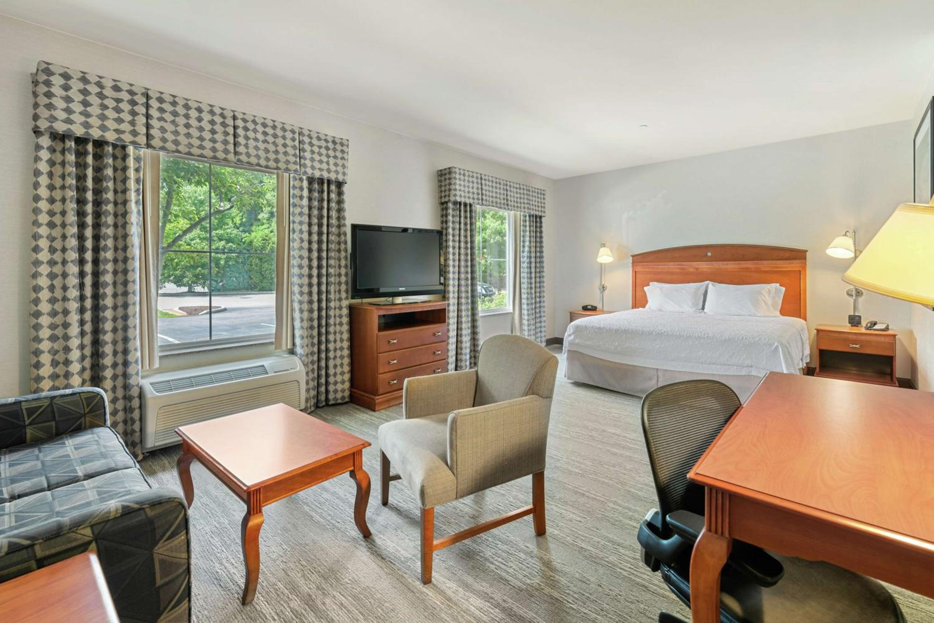 King Studio Suite with Sofa Bed - Non-Smoking - Photo 7