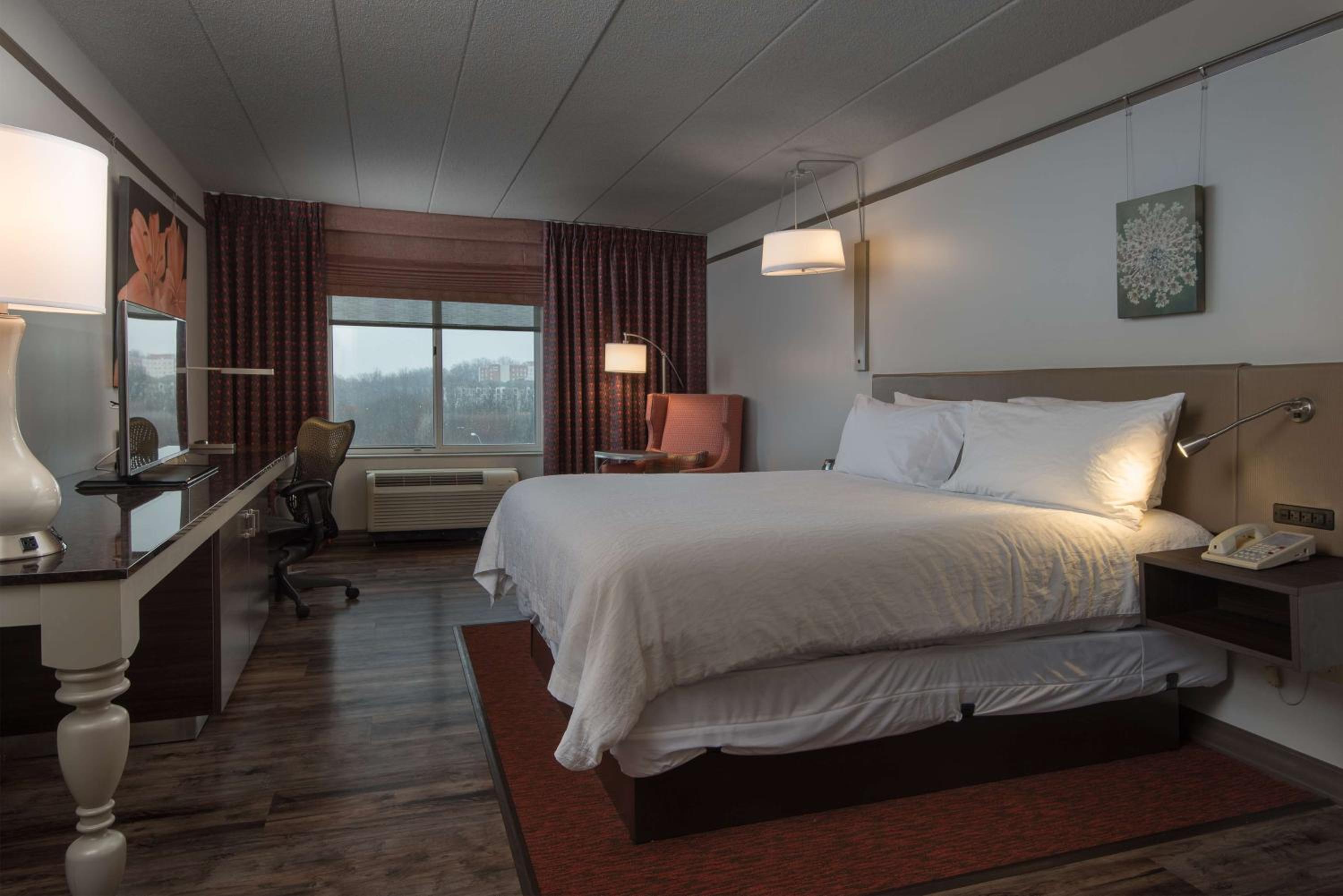 One-Bedroom King Suite - Photo 4