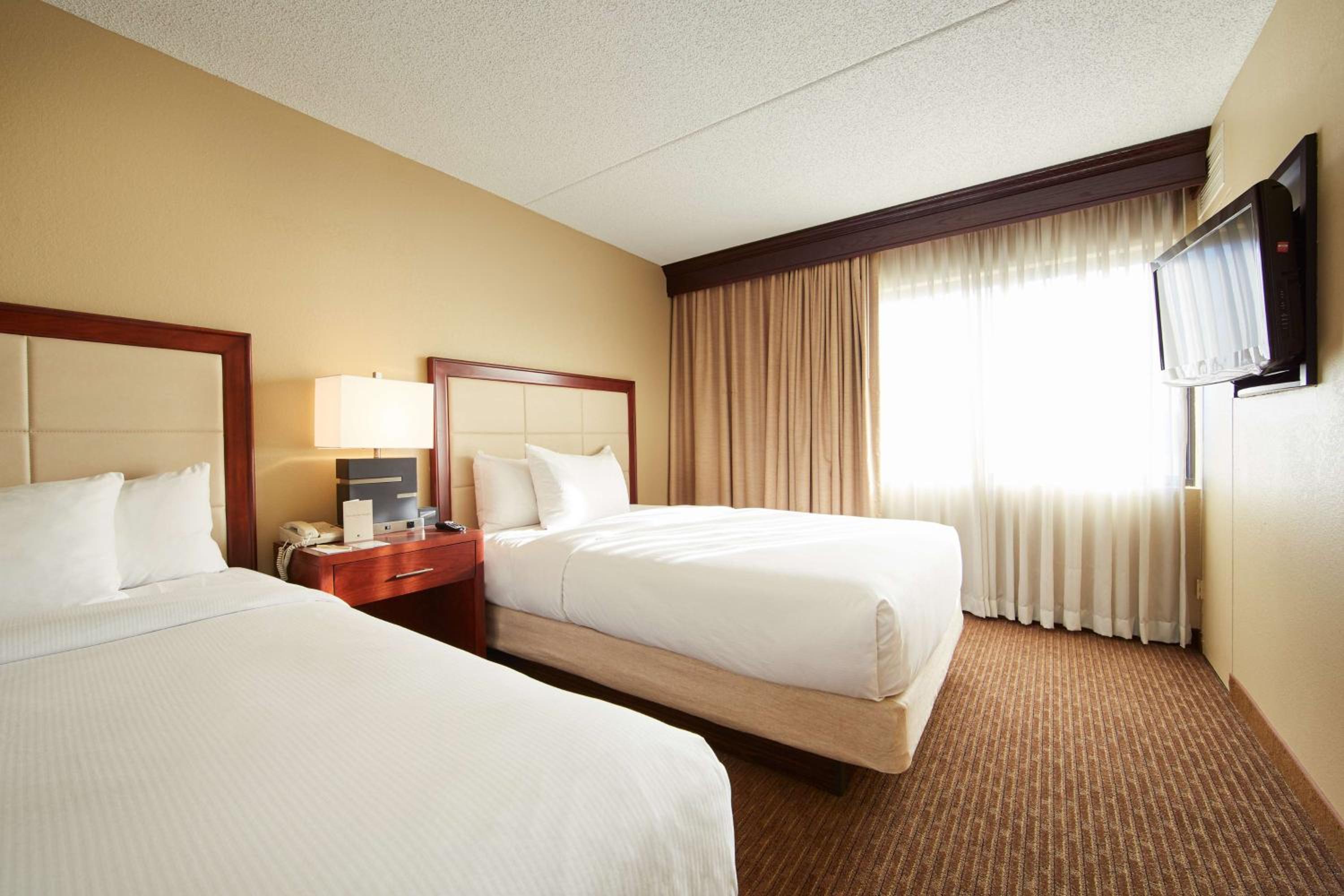 Standard Suite with Two Double Beds and Sofa Bed - Photo 4