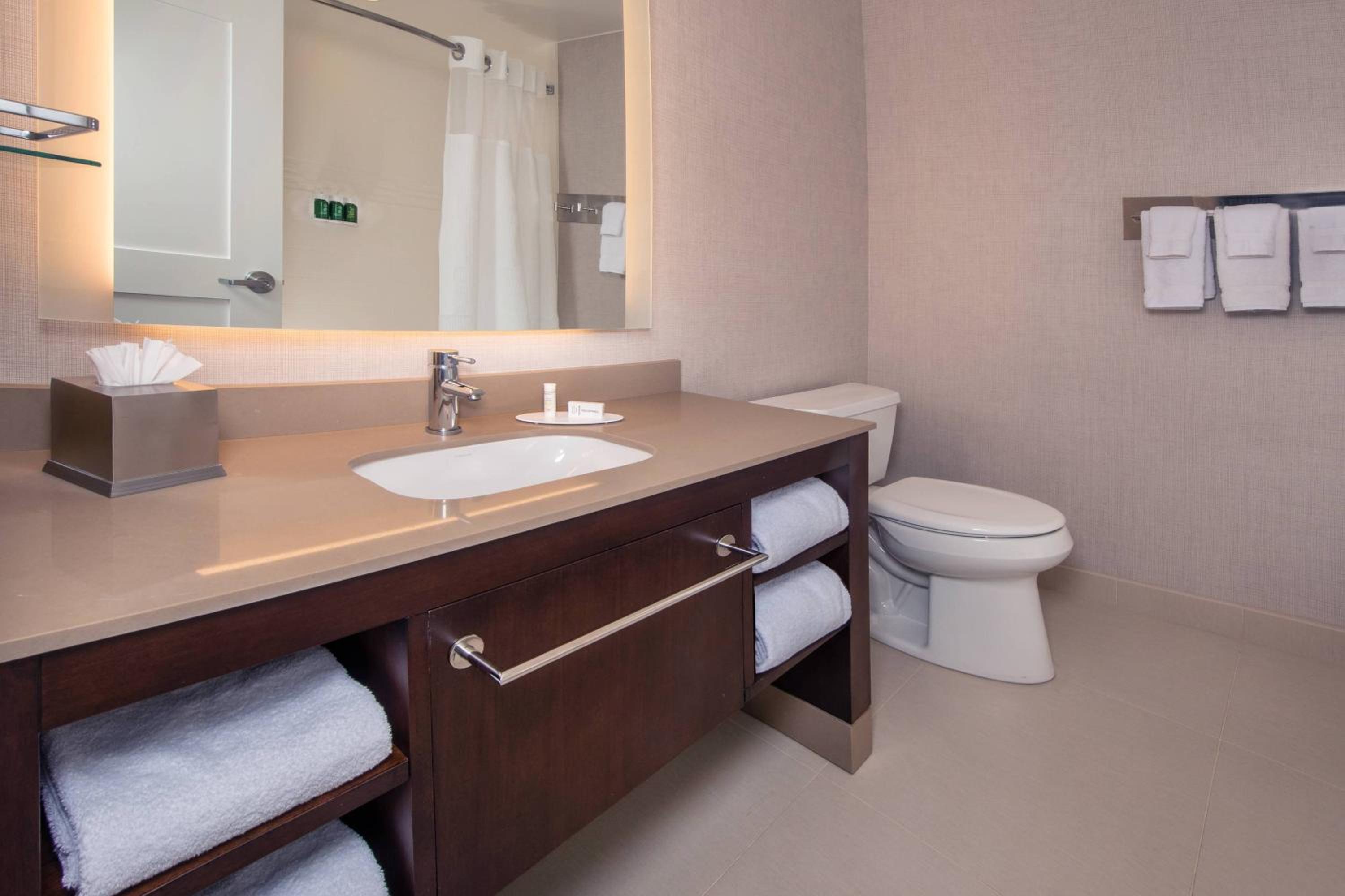 1 Bedroom Suite, 1 King, Sofa bed - Photo 7
