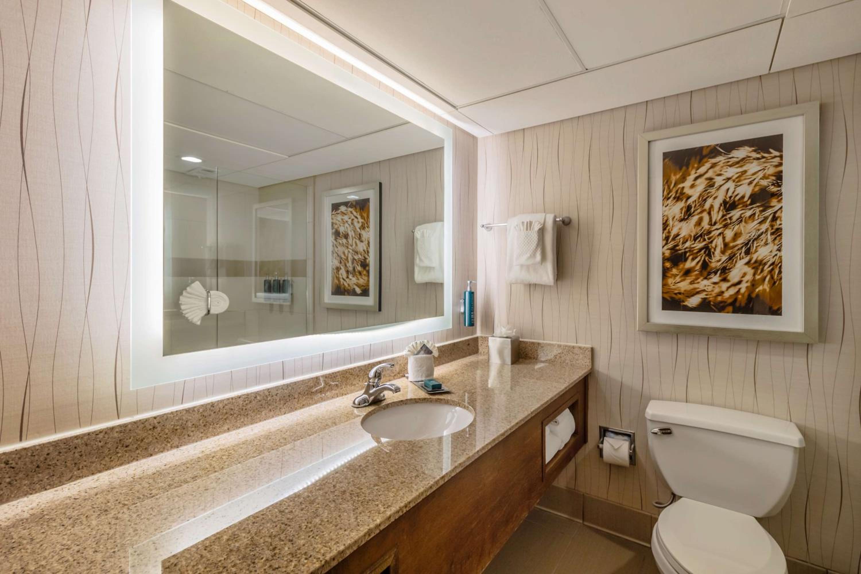 Two-Room King Suite photo 2
