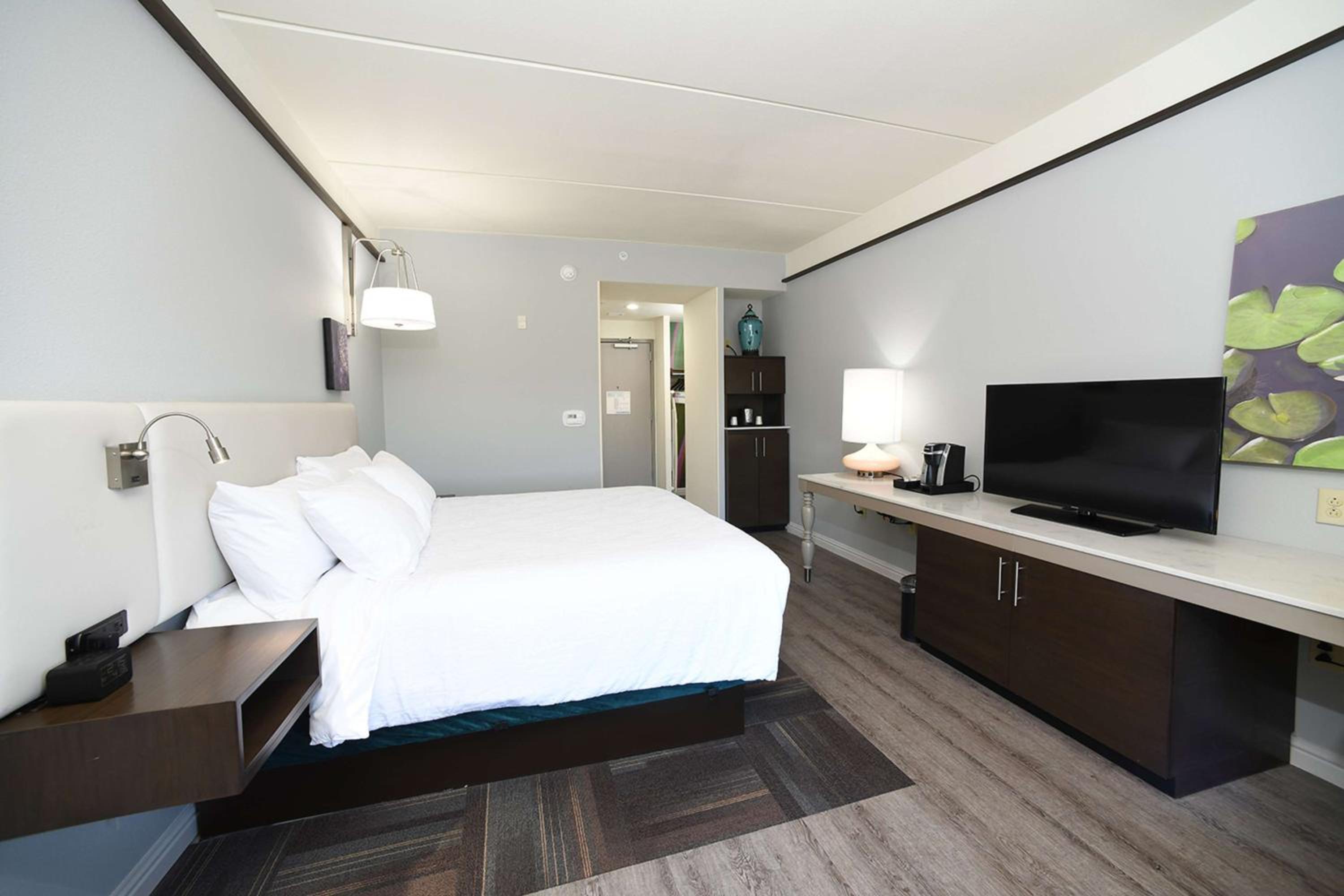 King Room photo 1