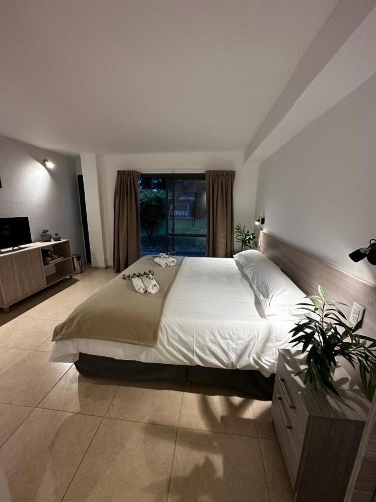 Deluxe King Room photo 3