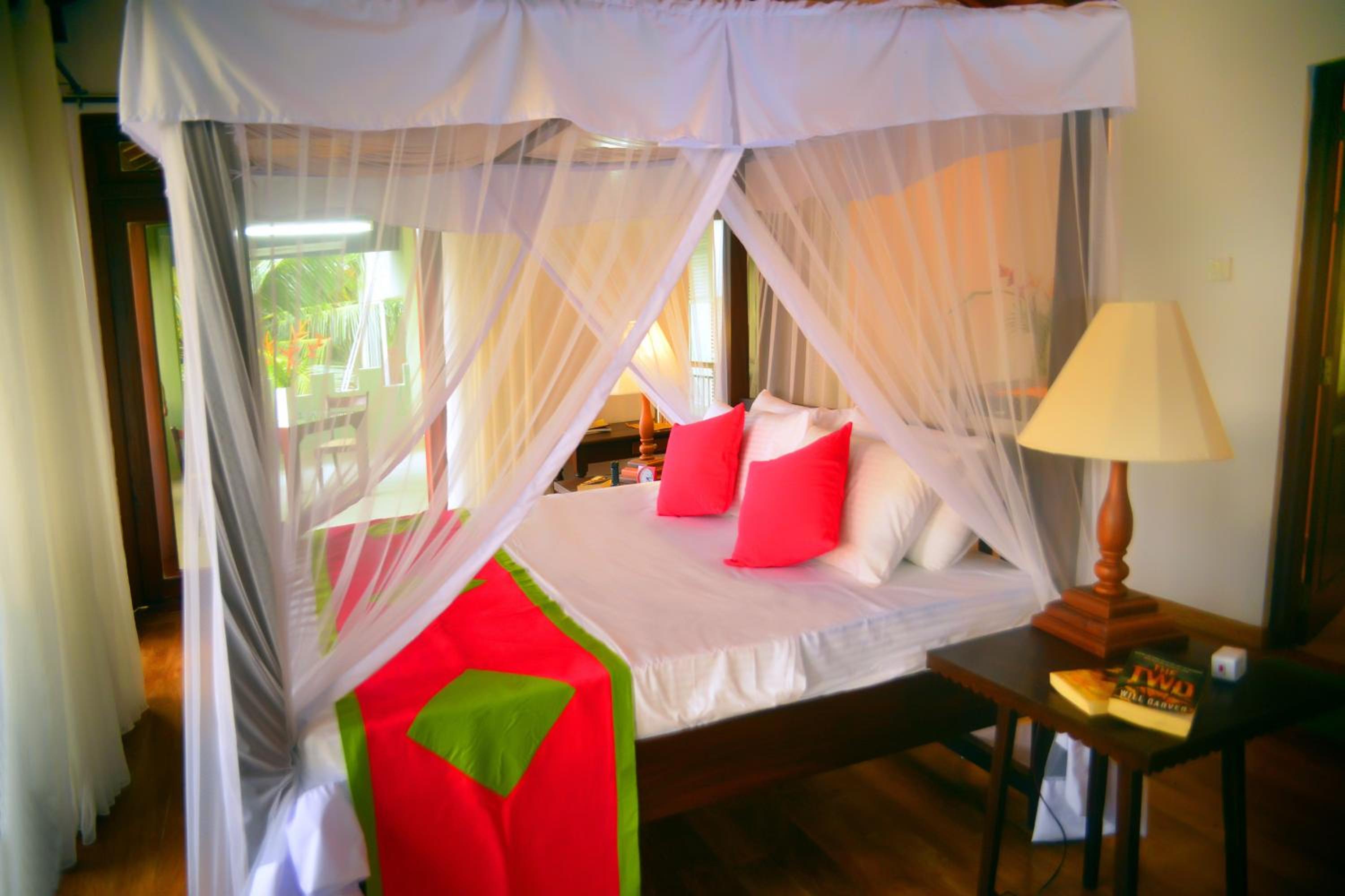 Standard King Room photo 1