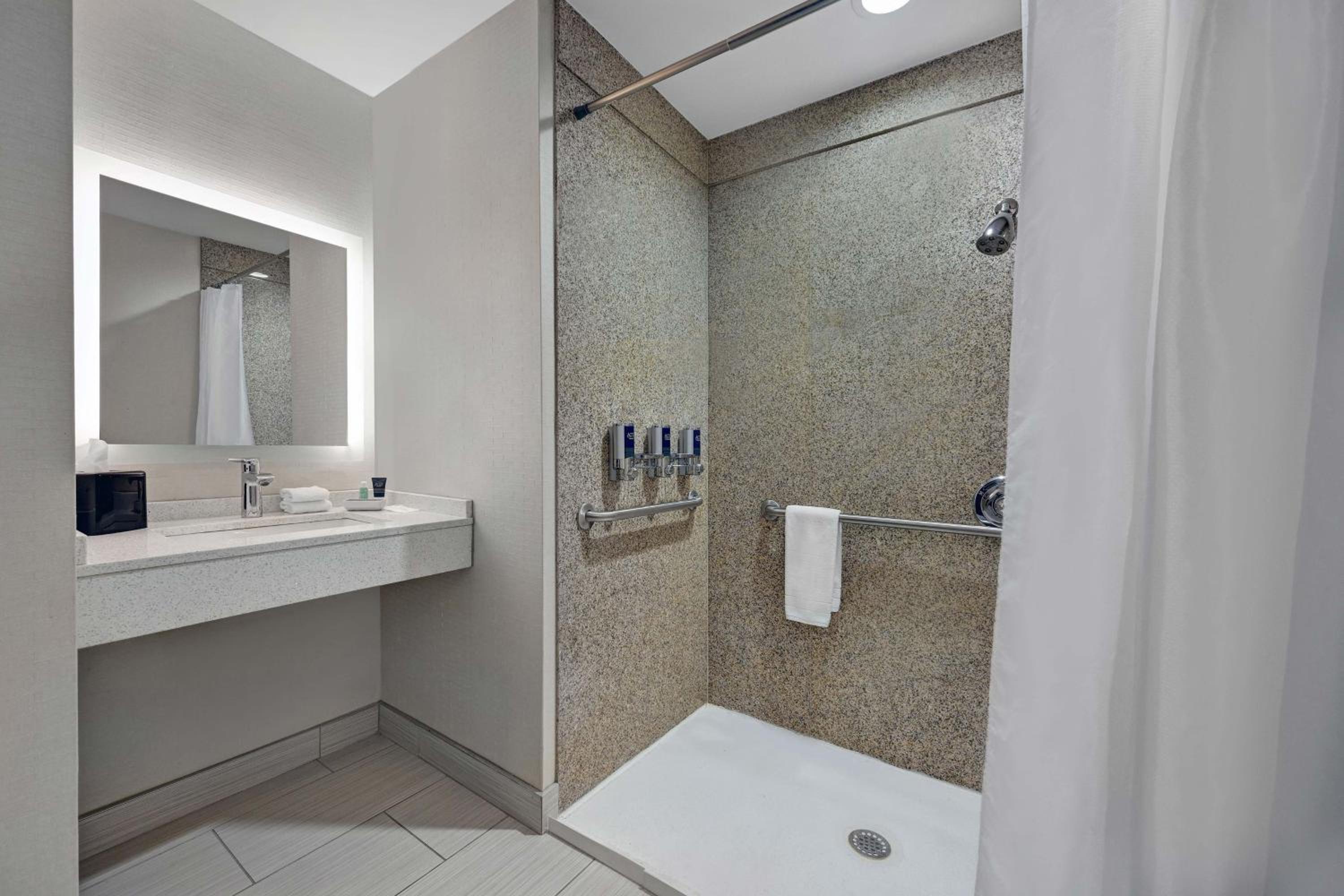 Suite, 1 King, Sofa bed - Photo 4