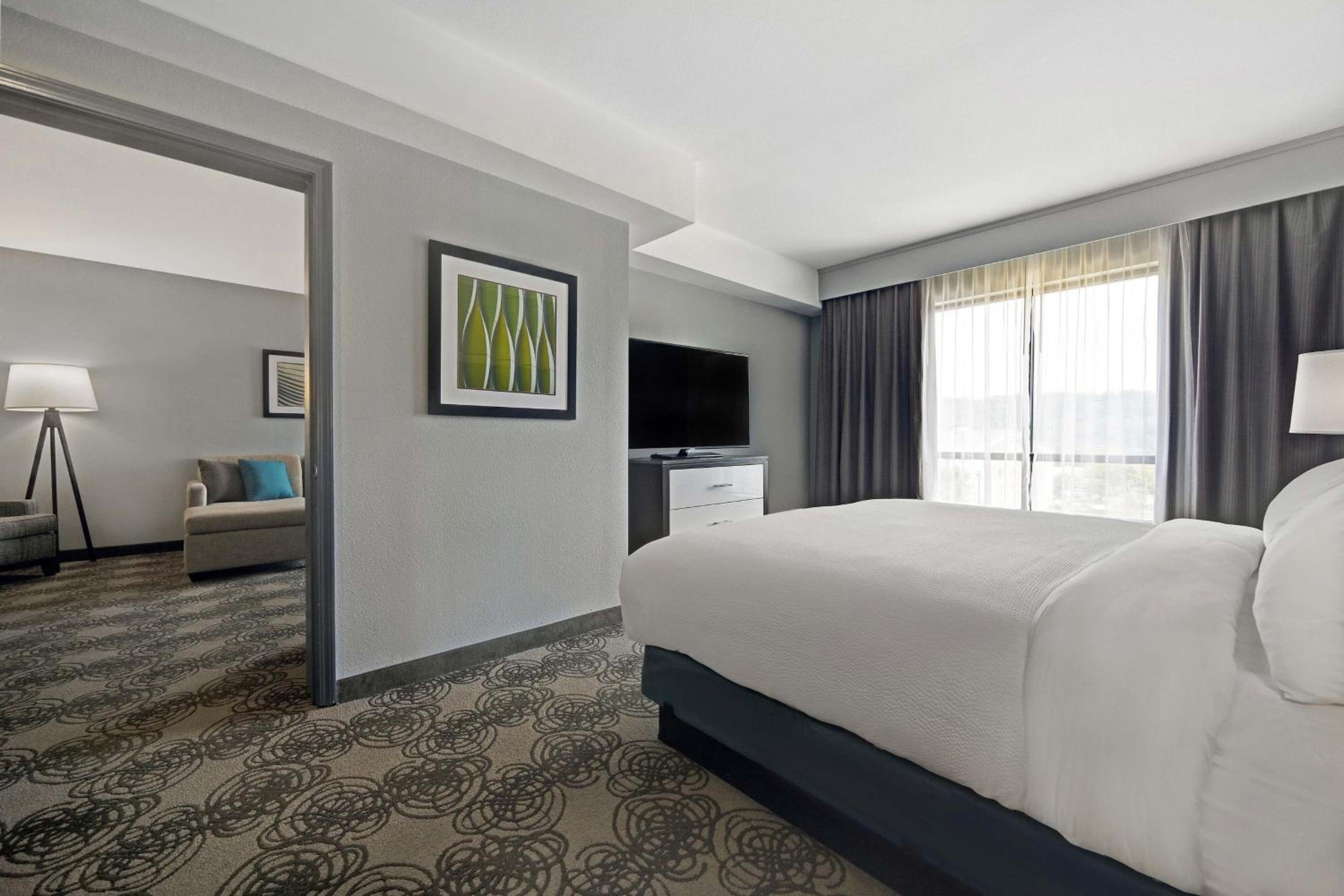 Suite, 1 King, Sofa bed - Photo 1