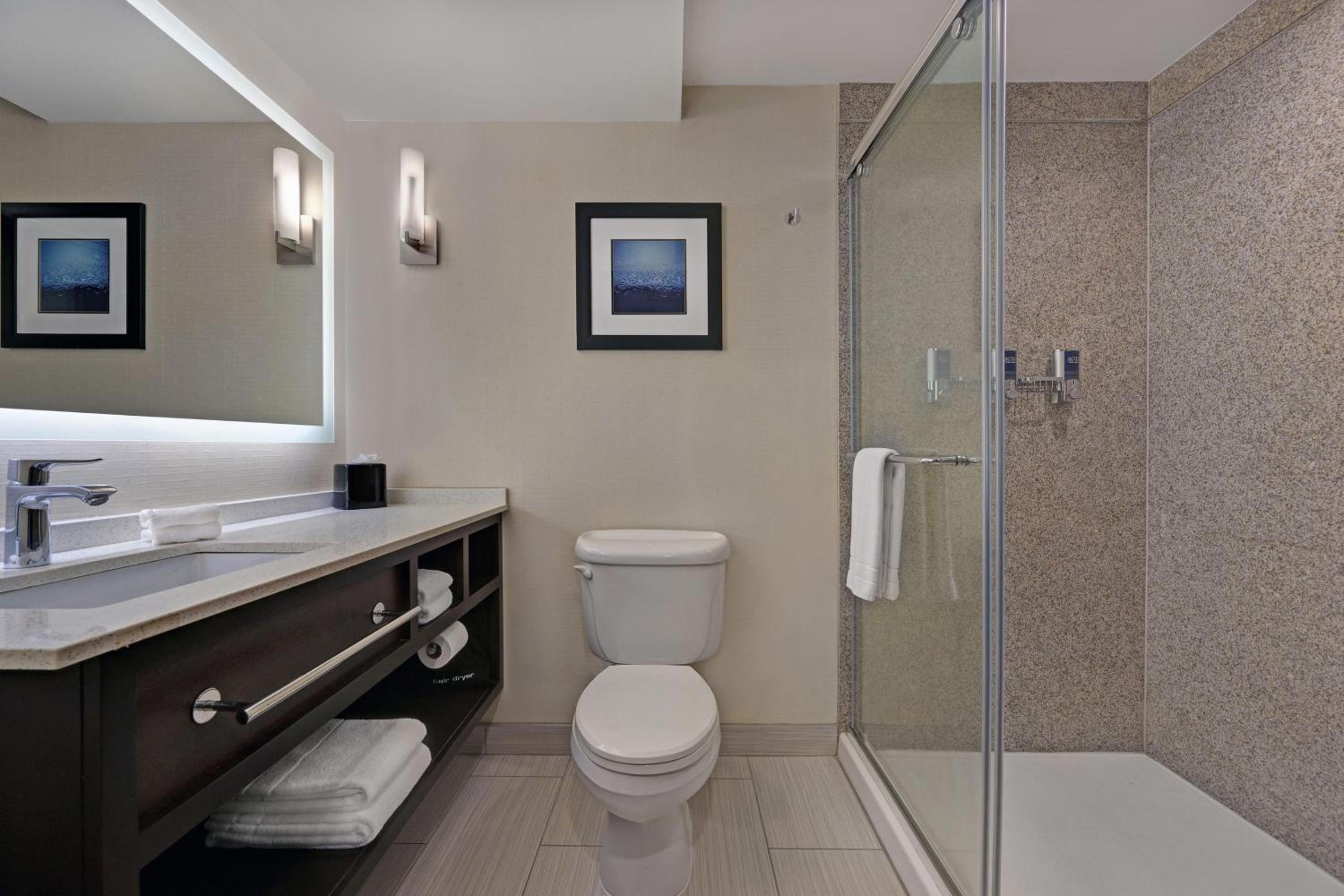 Suite, 1 King, Sofa bed - Photo 3