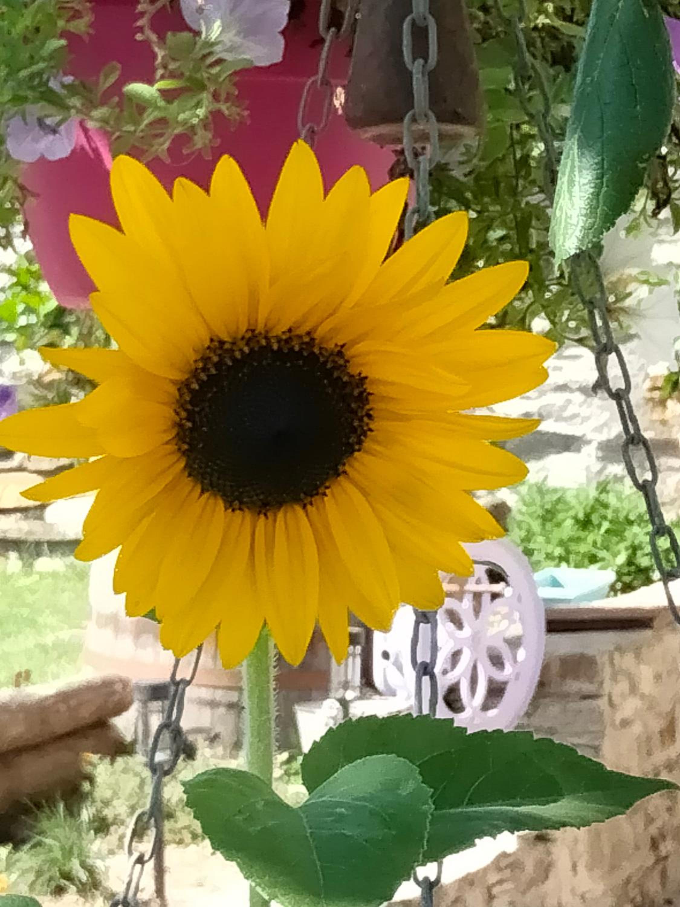 Il posto al sole, 写真 29