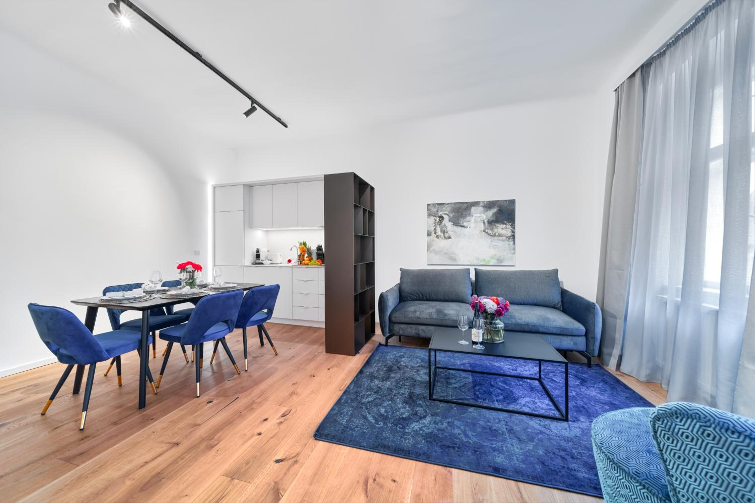 Deluxe Apartment