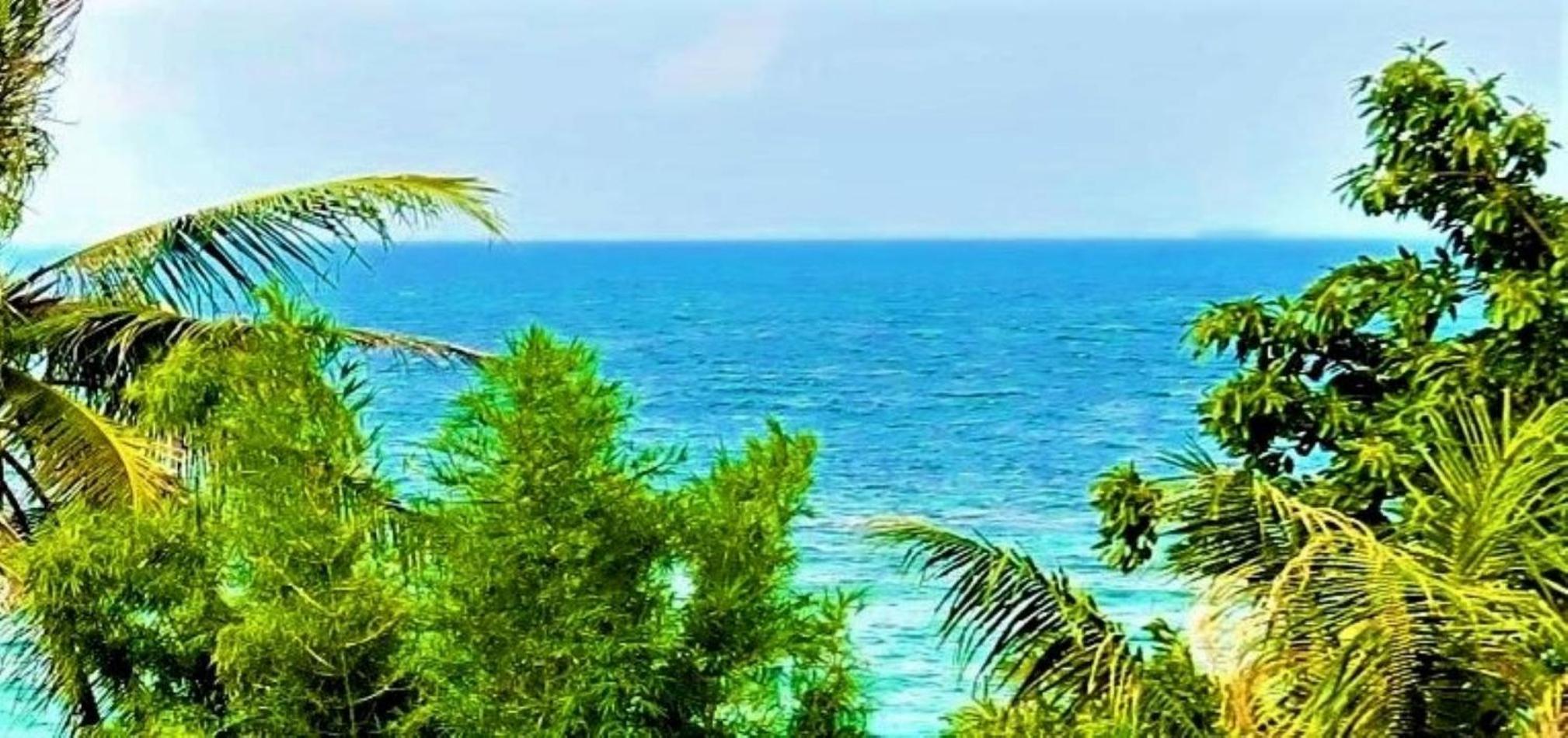 Deluxe Double Room with Sea View photo 3