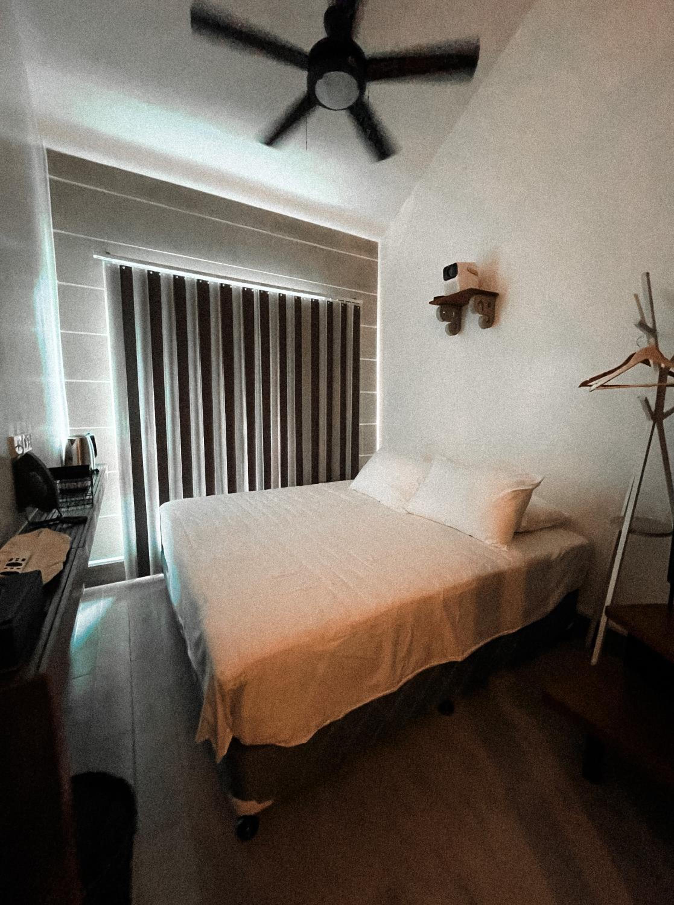 Deluxe Double or Twin Room photo 1