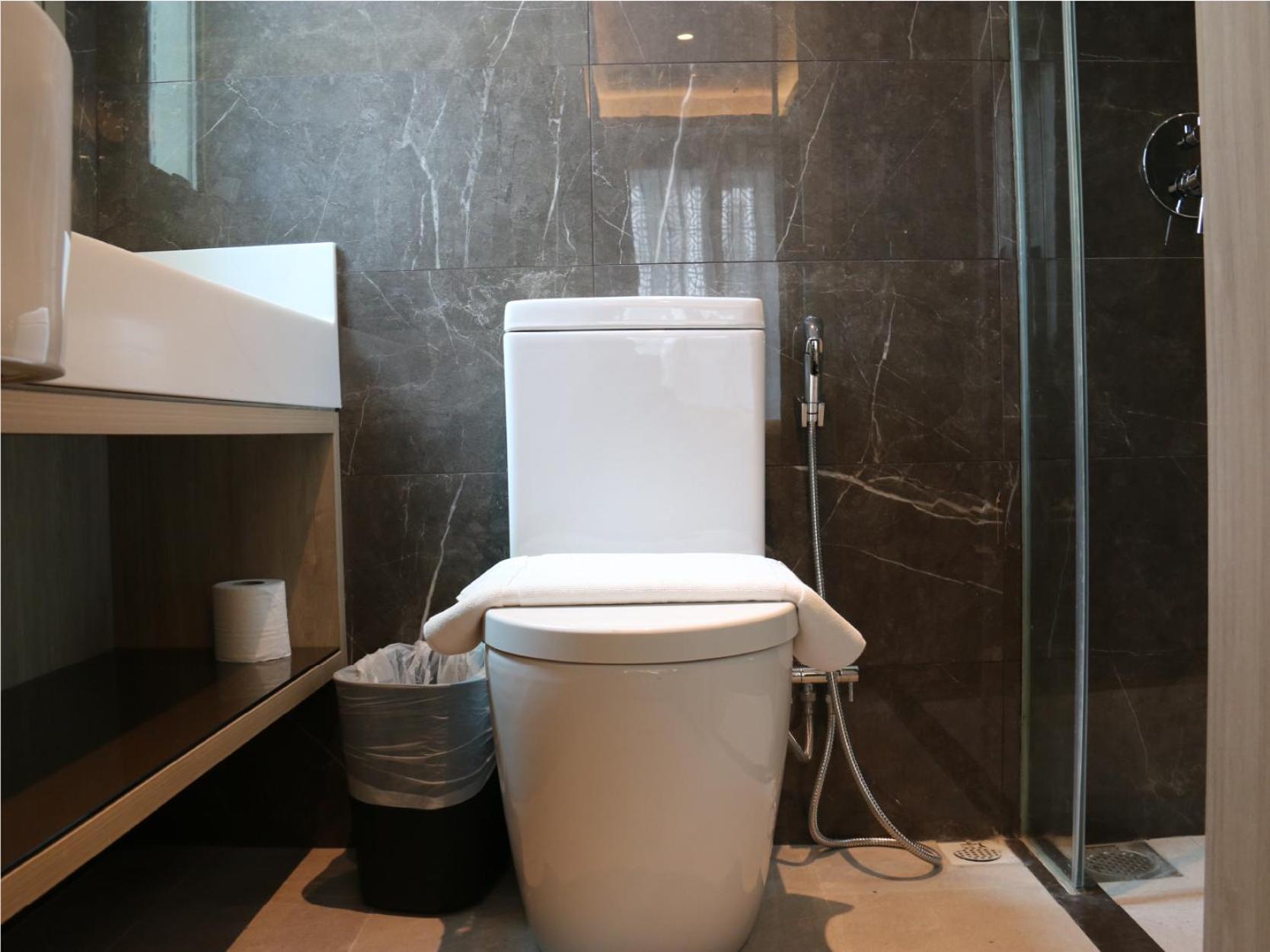 Premier Suite photo 3