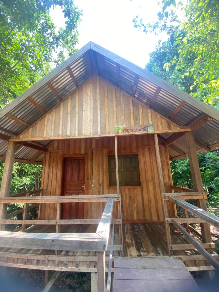 Chalet photo 1