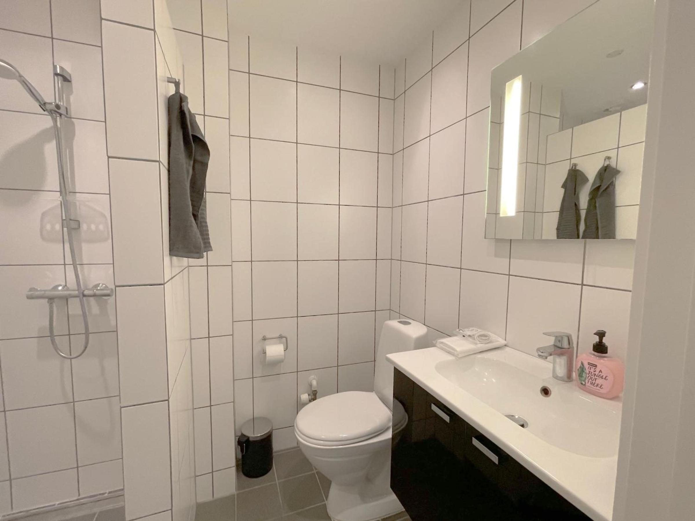 One-Bedroom Apartment photo 2