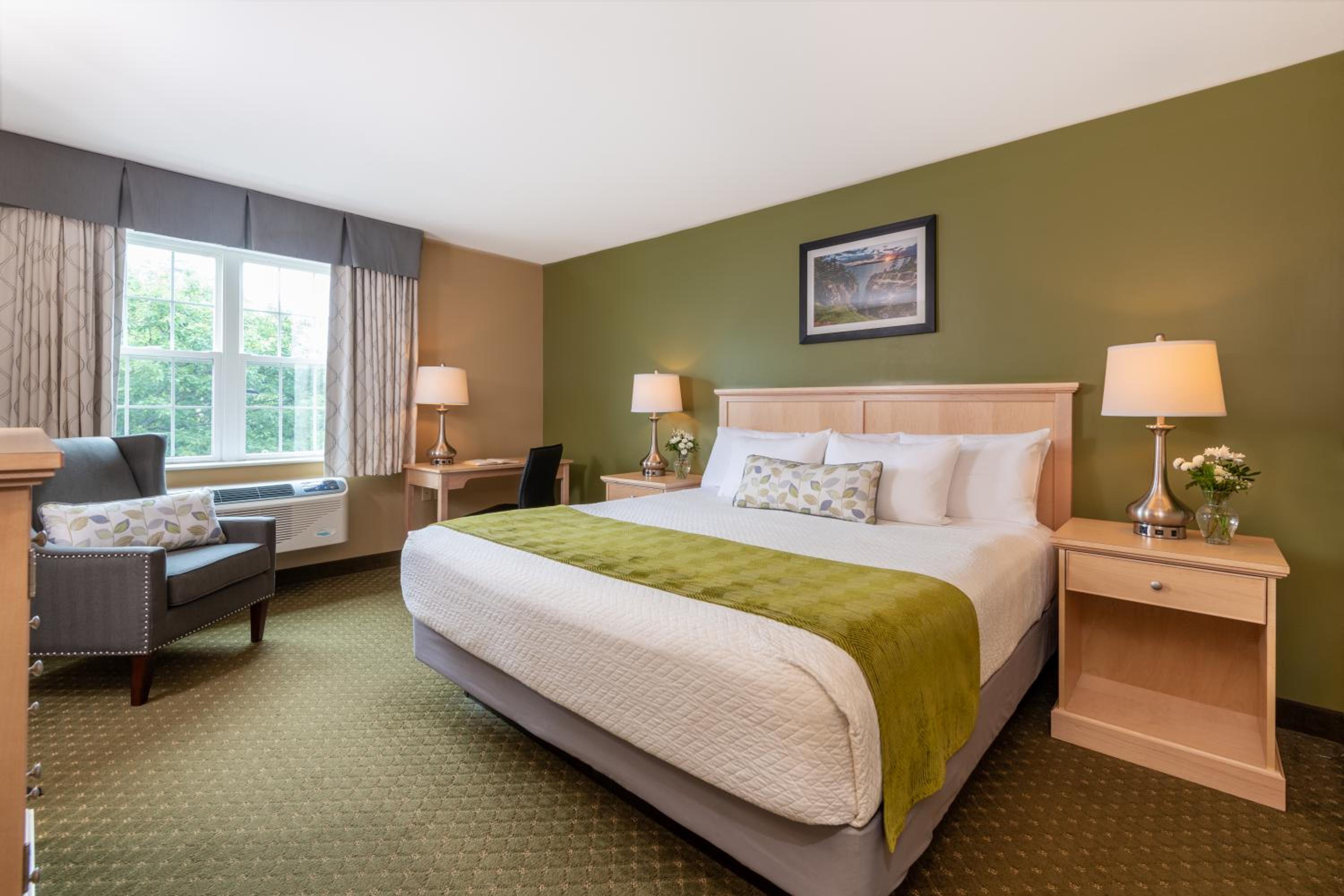 King Room with Roll-In Shower - Disability Access