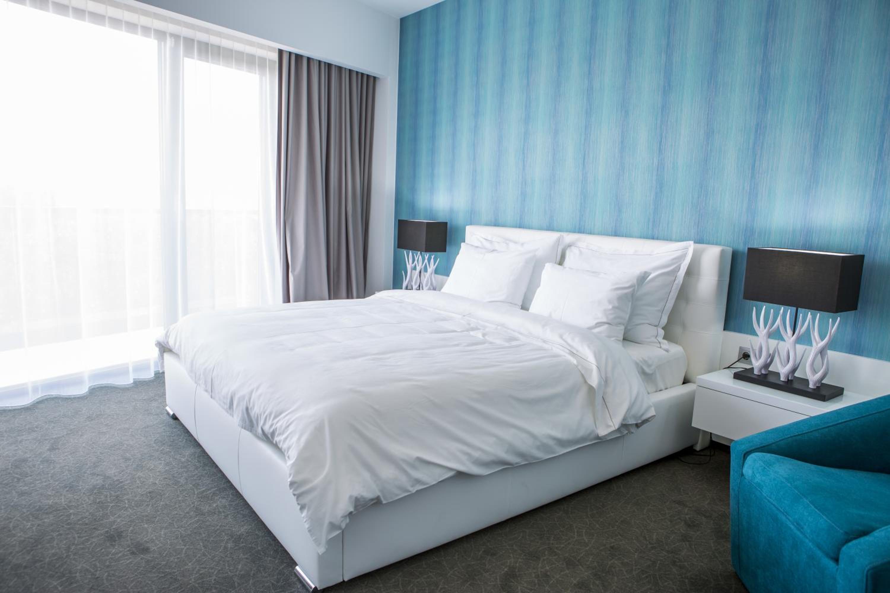 Suite - Photo 1