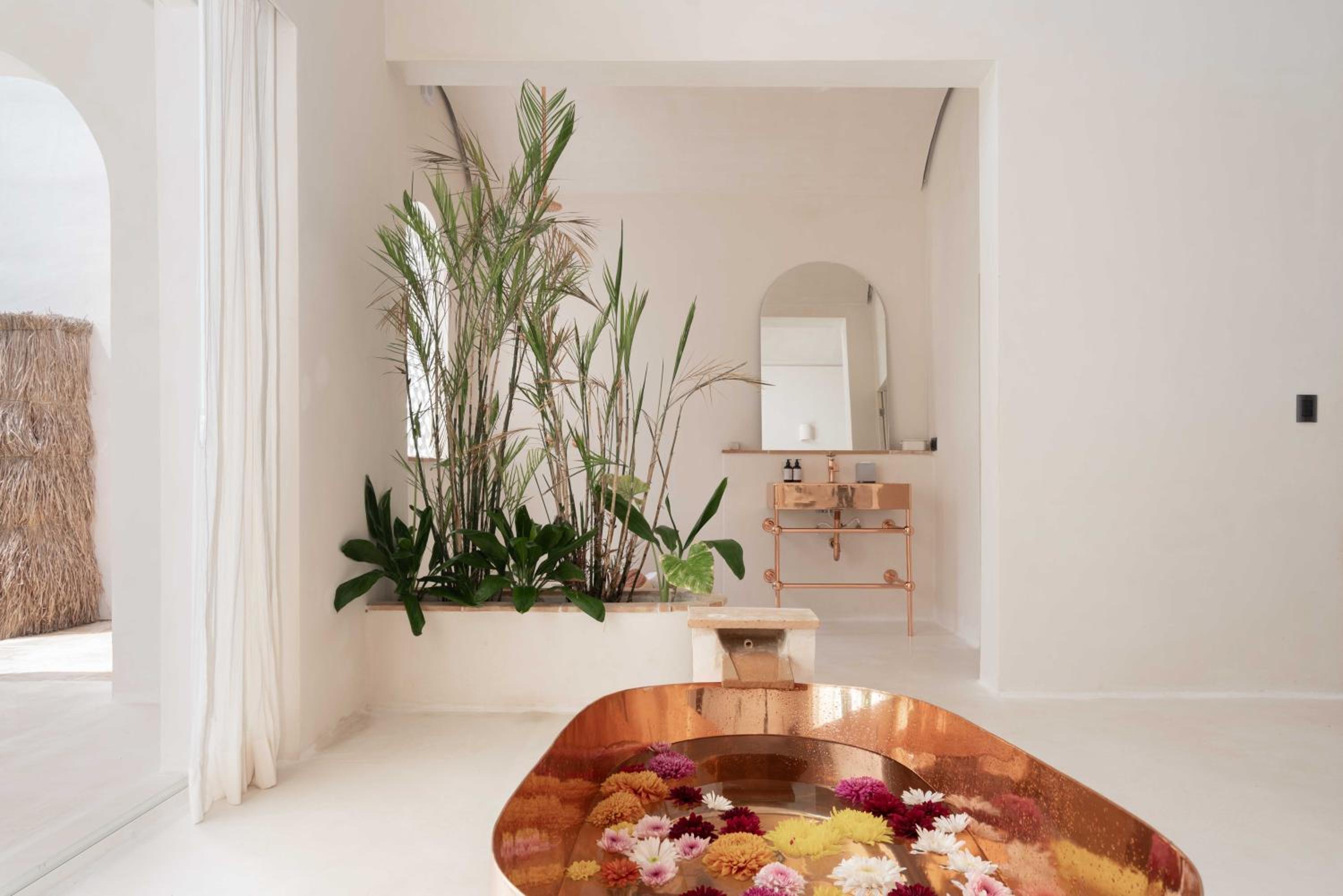 Suite with Private Pool - Photo 23