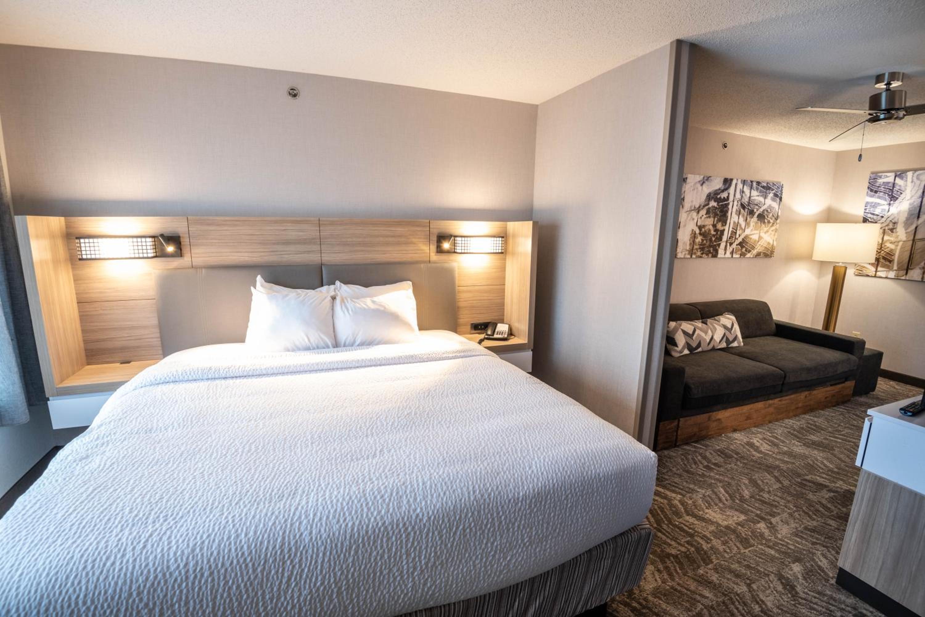 Suite, 1 King, Sofa bed